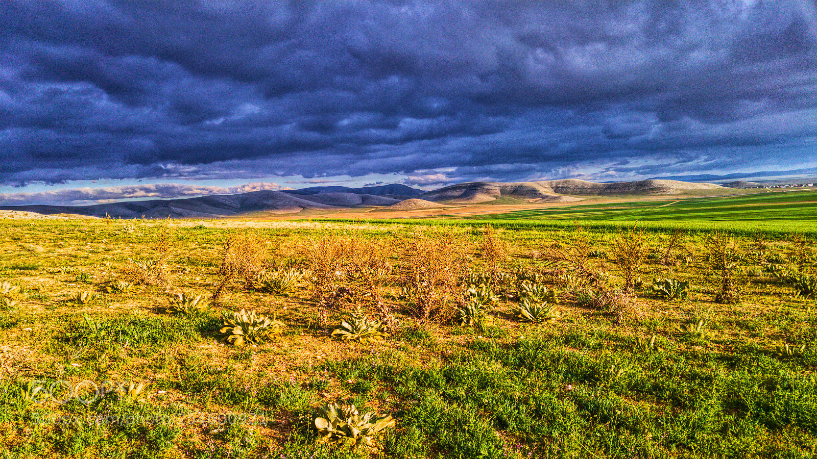 LG G4 sample photo. Enless steppe photography