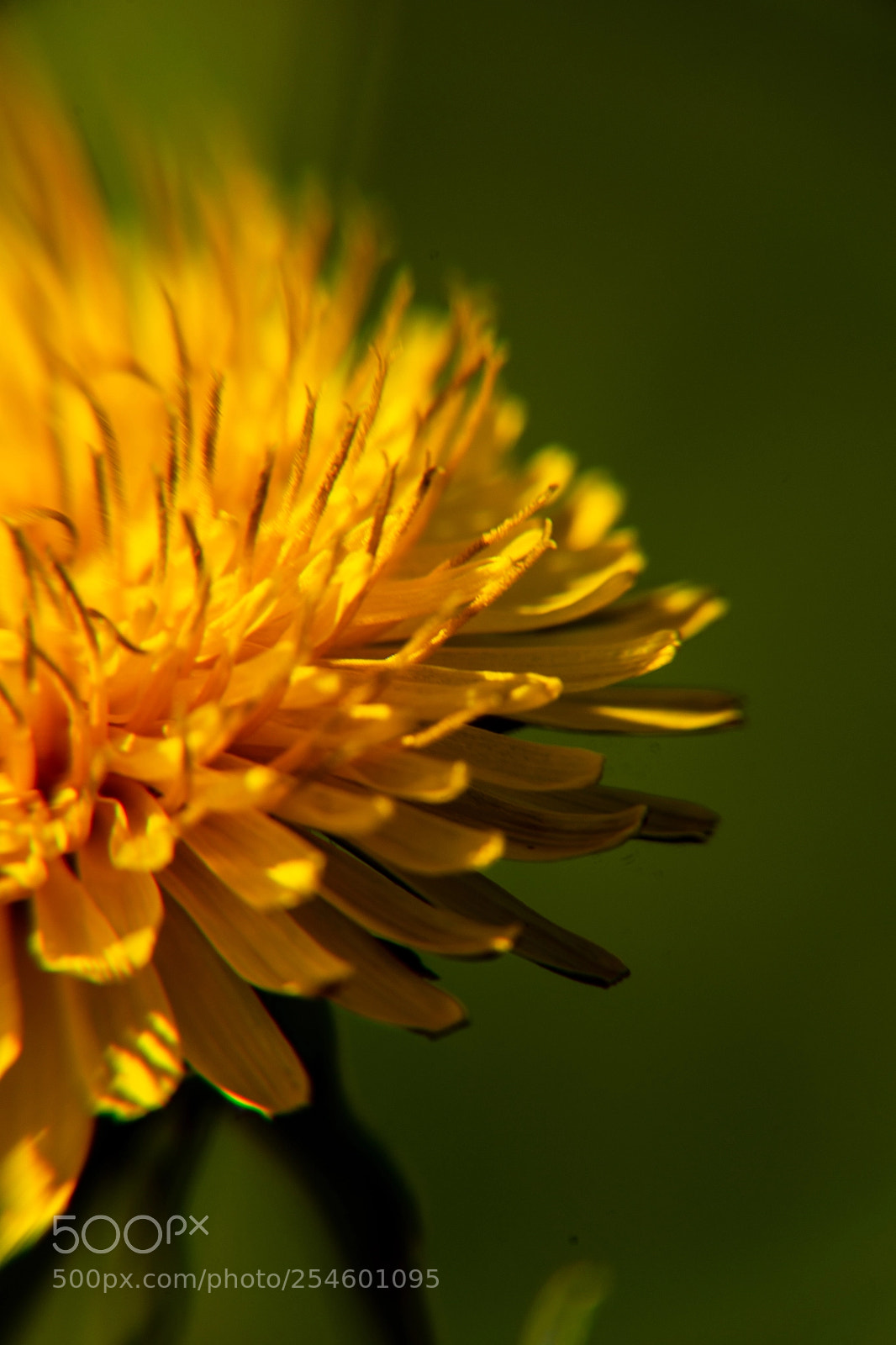 Nikon D7200 sample photo. Tix photography