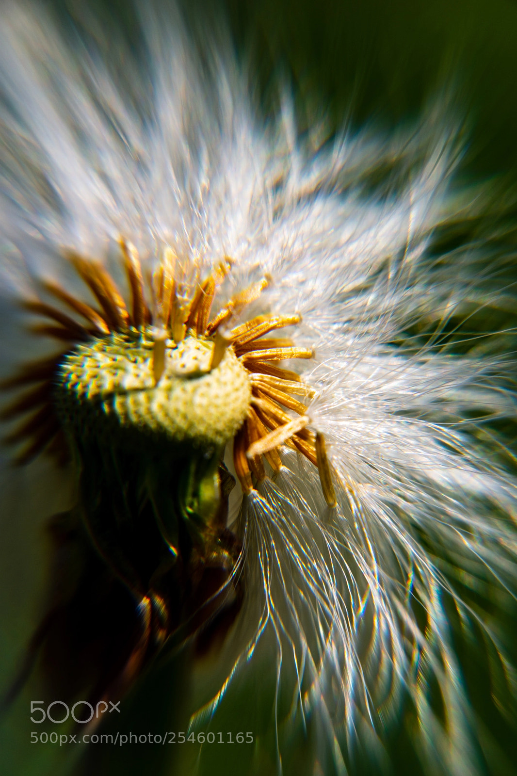 Nikon D7200 sample photo. Tix photography