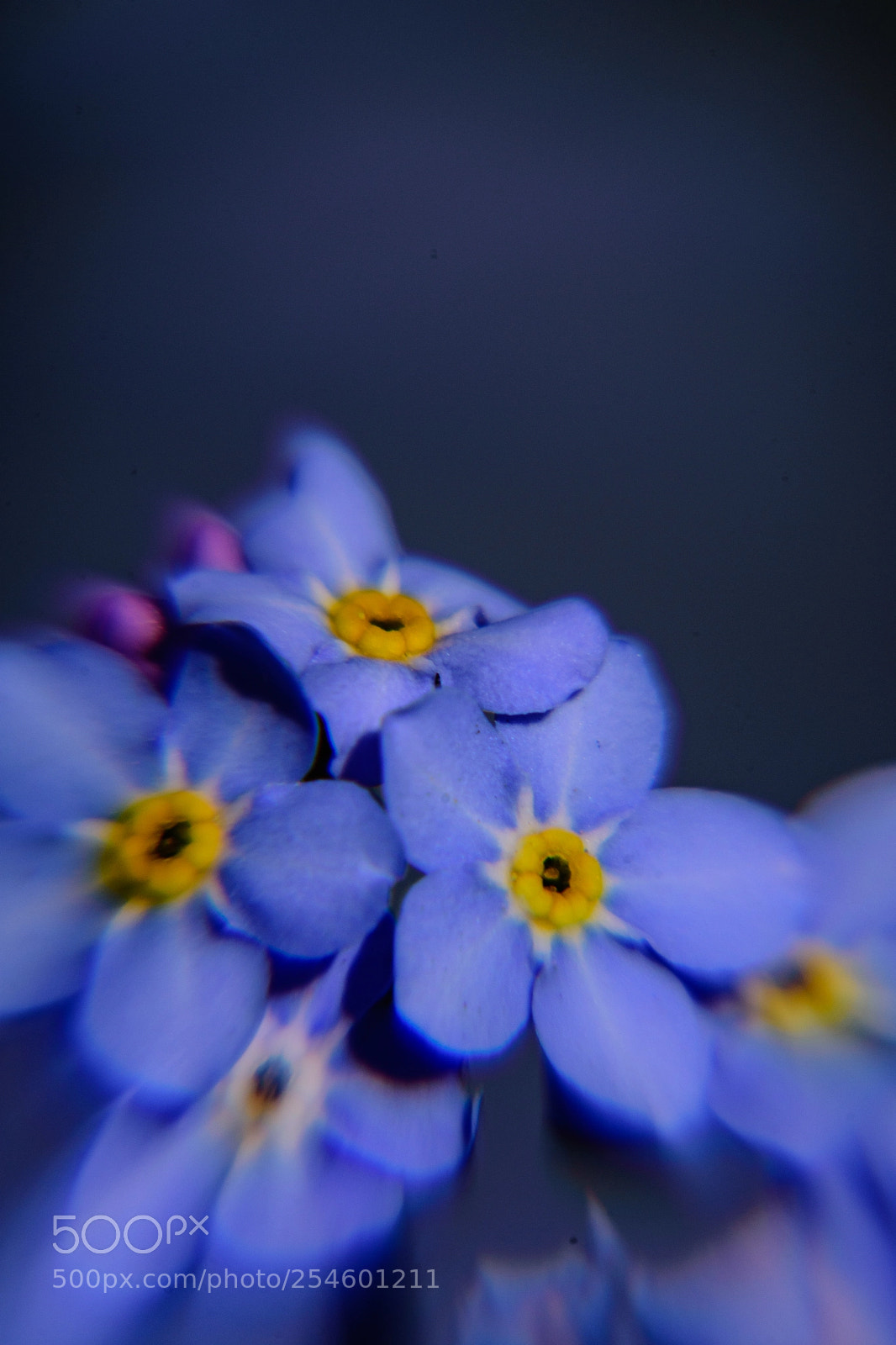Nikon D7200 sample photo. Tix photography