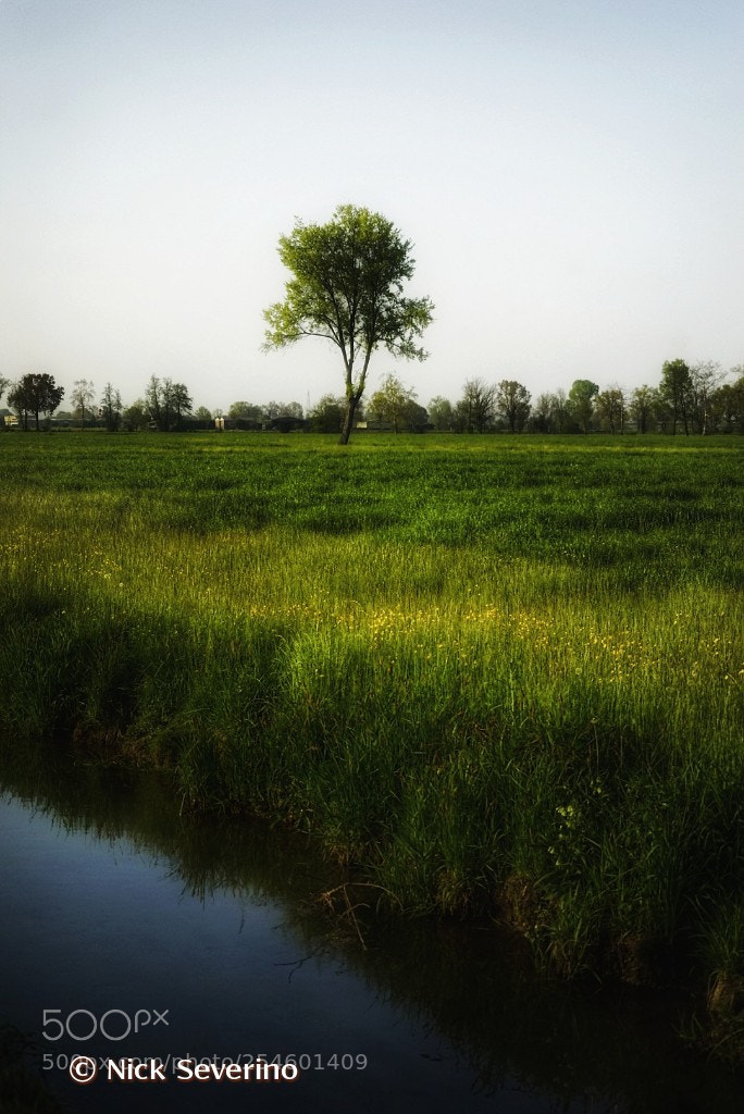 Sony a7R sample photo. Country landscape photography