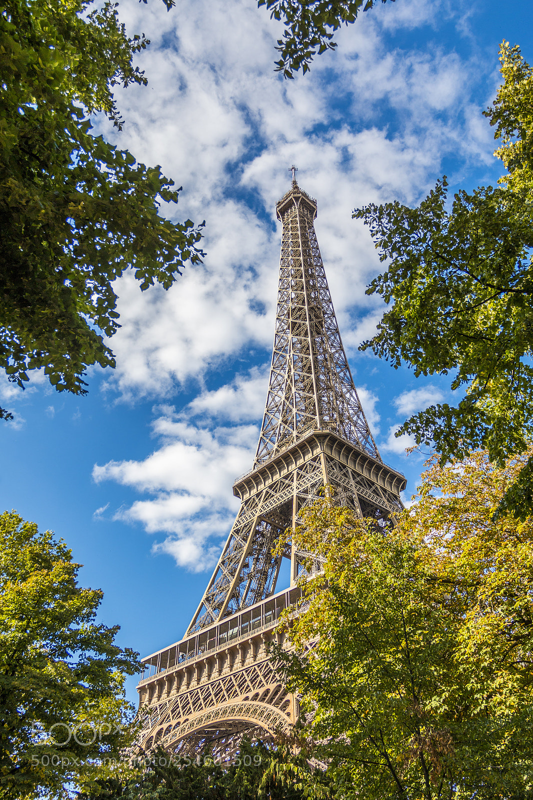 Canon EOS 70D sample photo. Eiffel tower in green photography