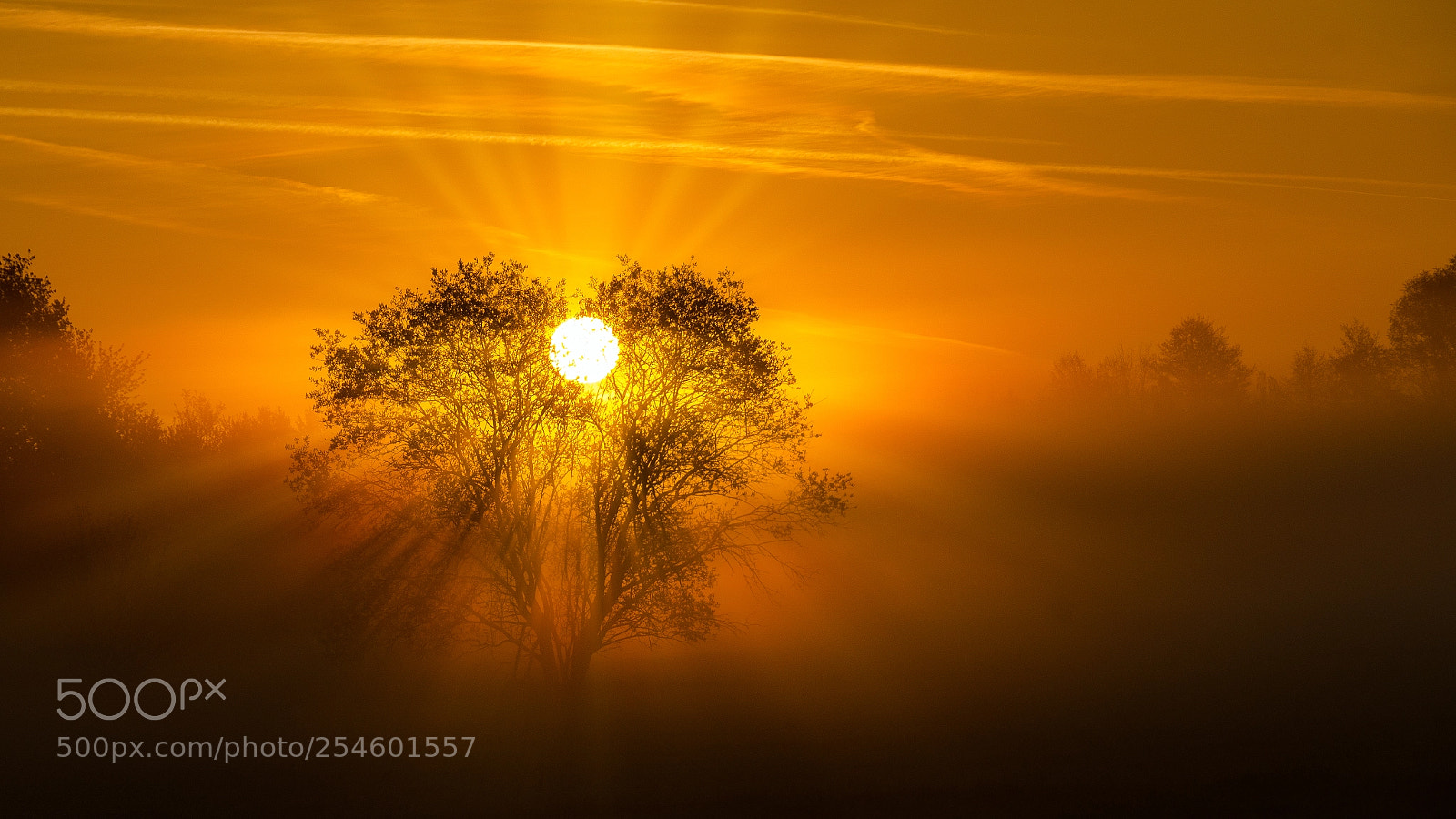 Nikon D7000 sample photo. Morning with sun photography