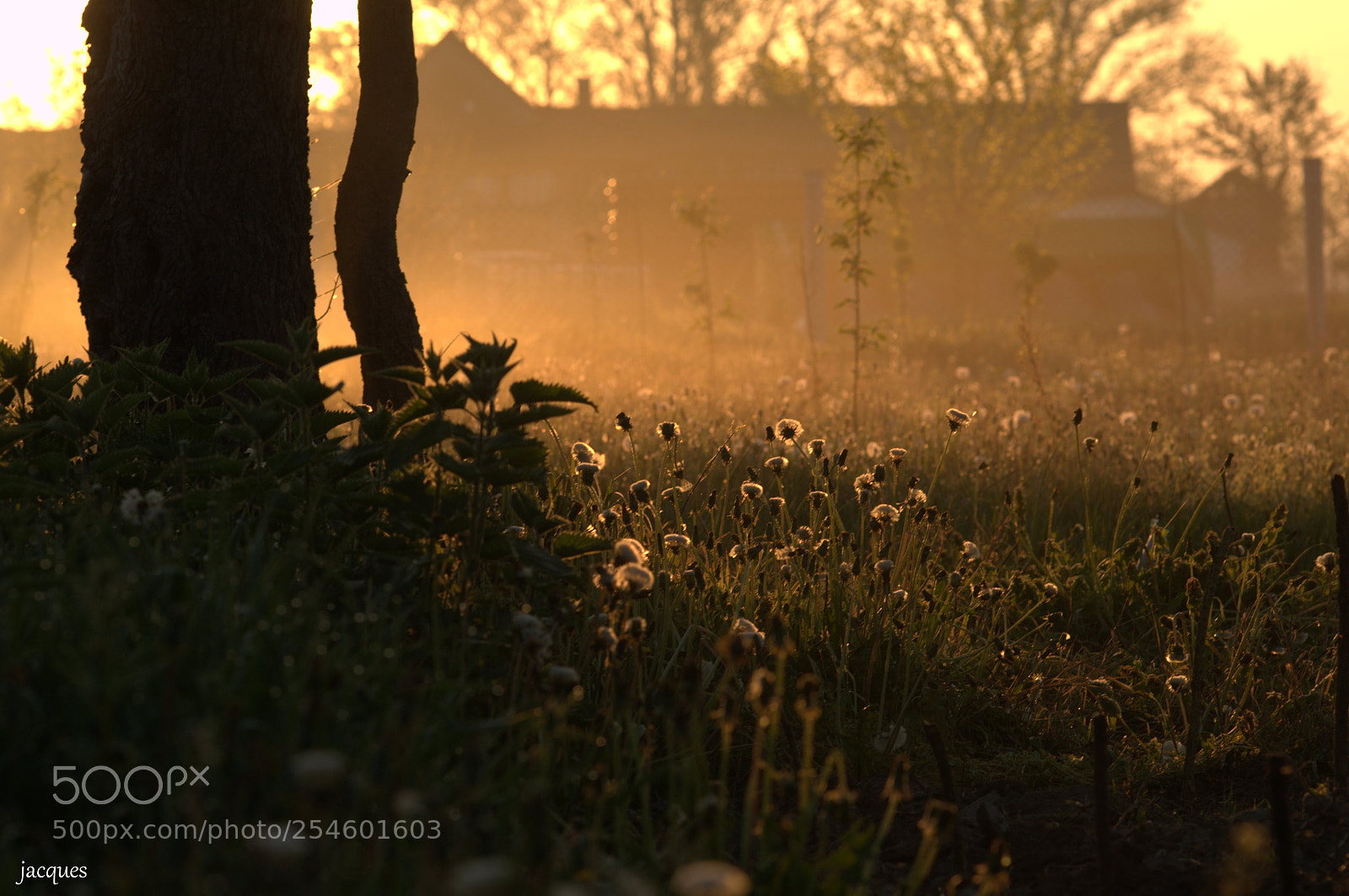 Nikon D300 sample photo. Morning photography