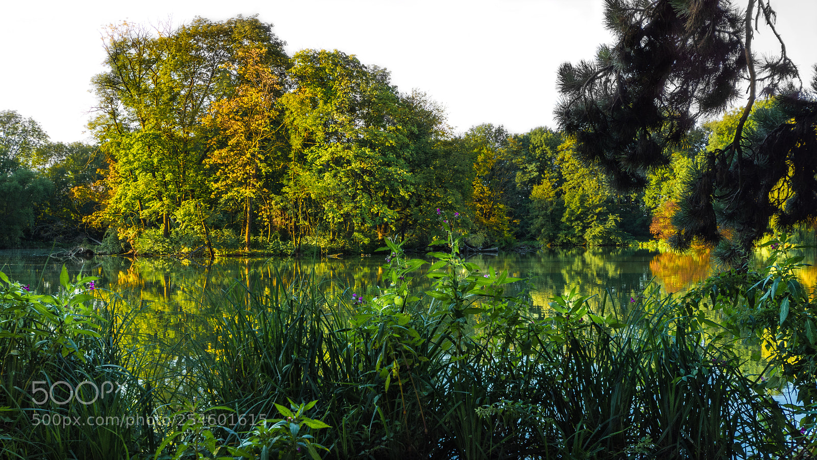 Nikon D7200 sample photo. Pioneer pond... photography