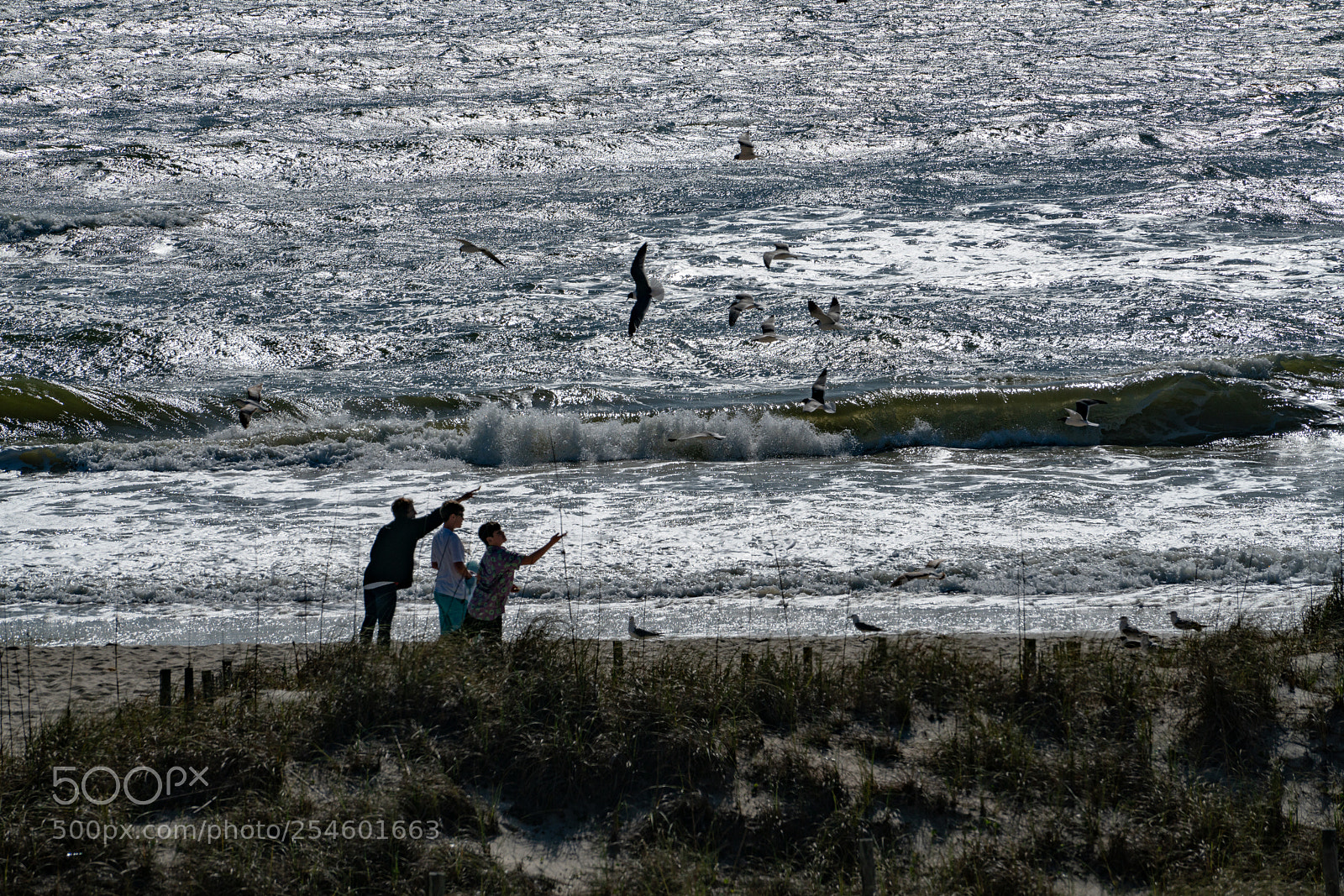 Sony a7R II sample photo. Beach photography
