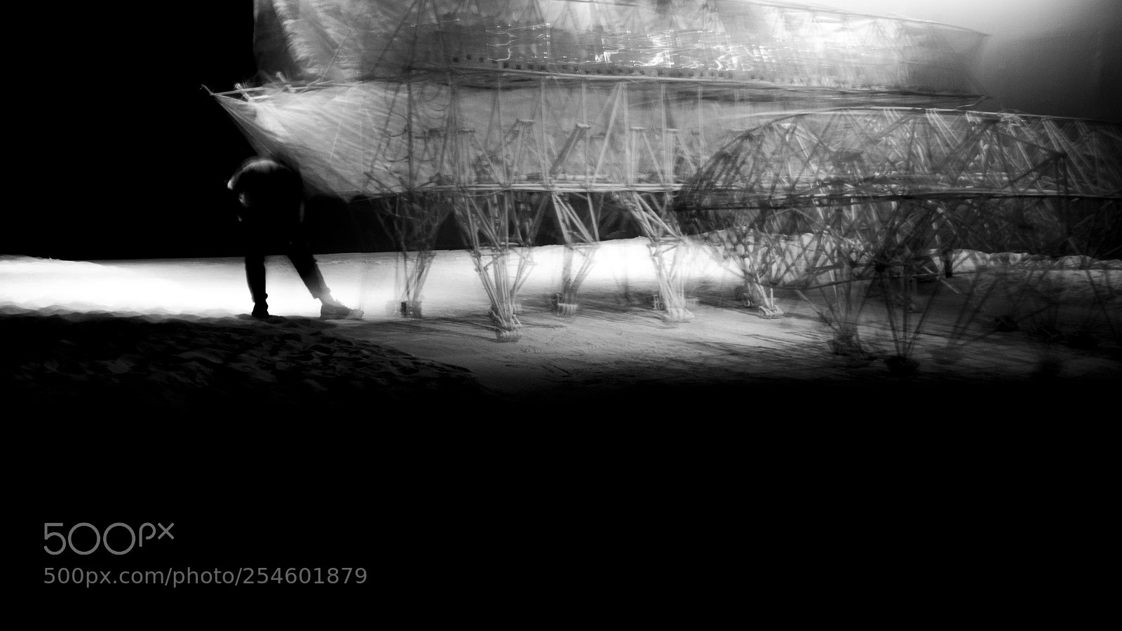Nikon D5100 sample photo. Theo jansen's strandbeest photography