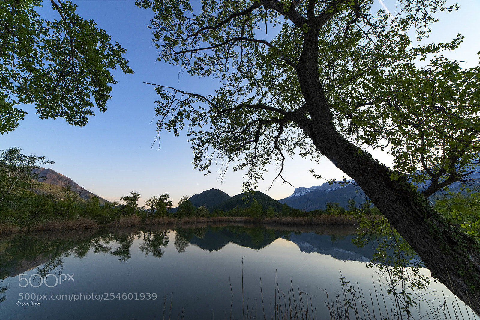 Pentax K-1 sample photo. Douceur photography