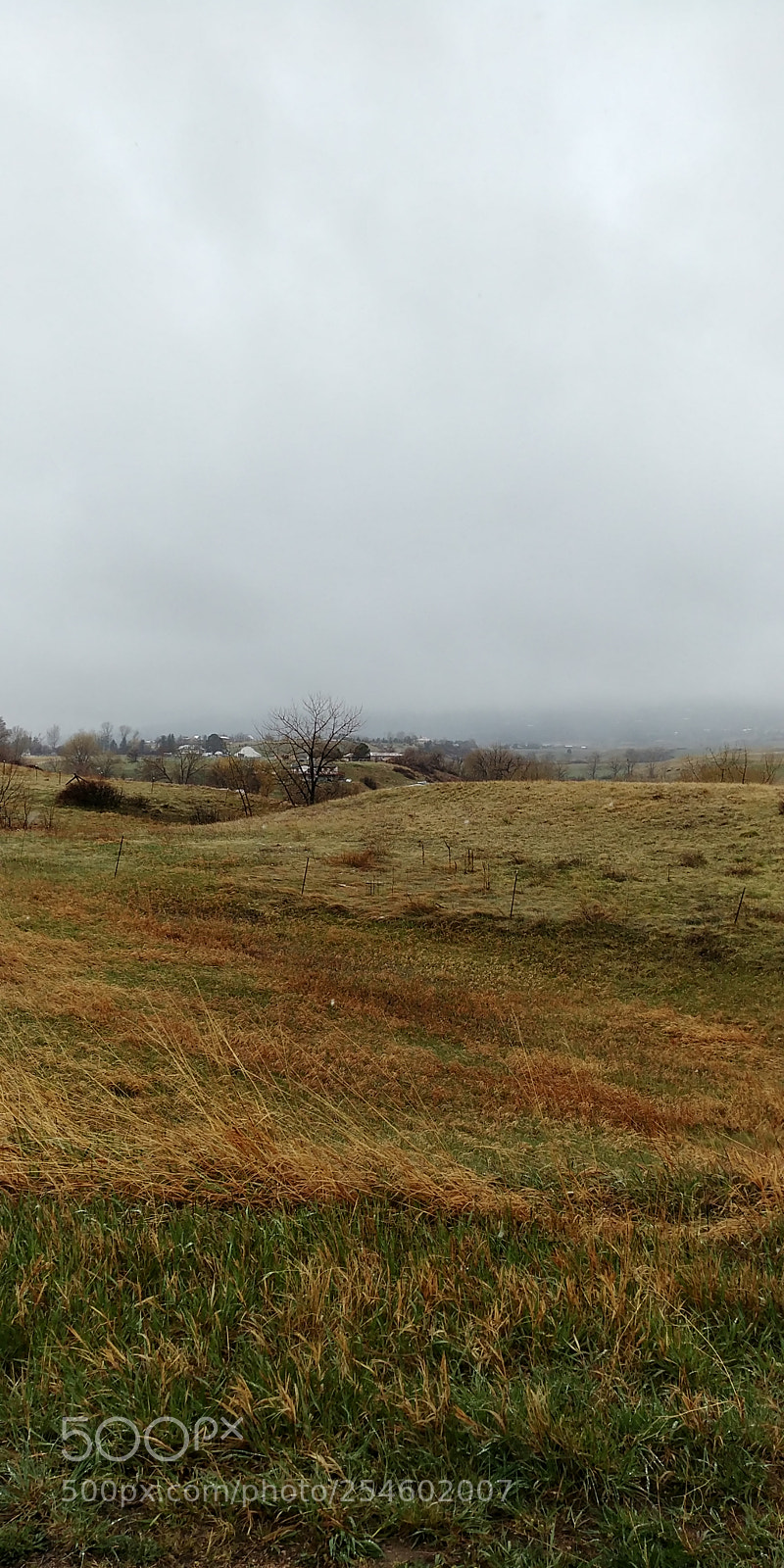 LG G6 sample photo. A rainy and slushy photography