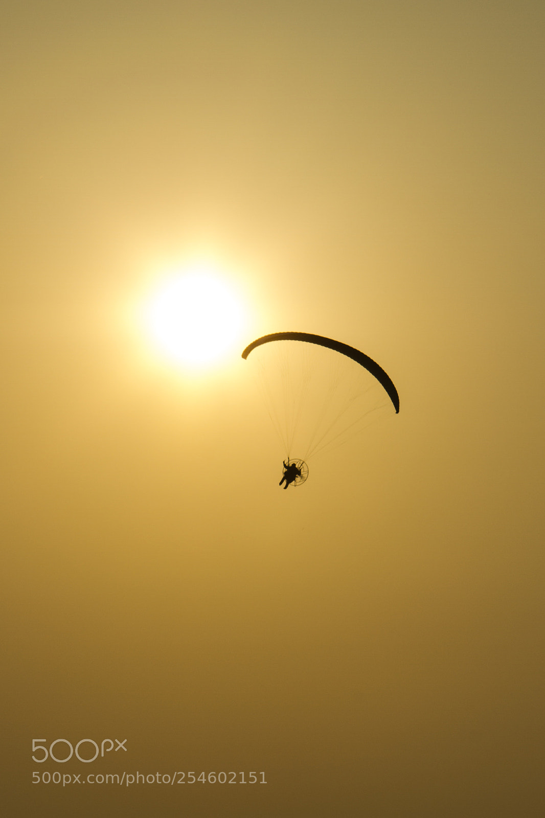 Canon EOS 7D sample photo. Come fly with me photography