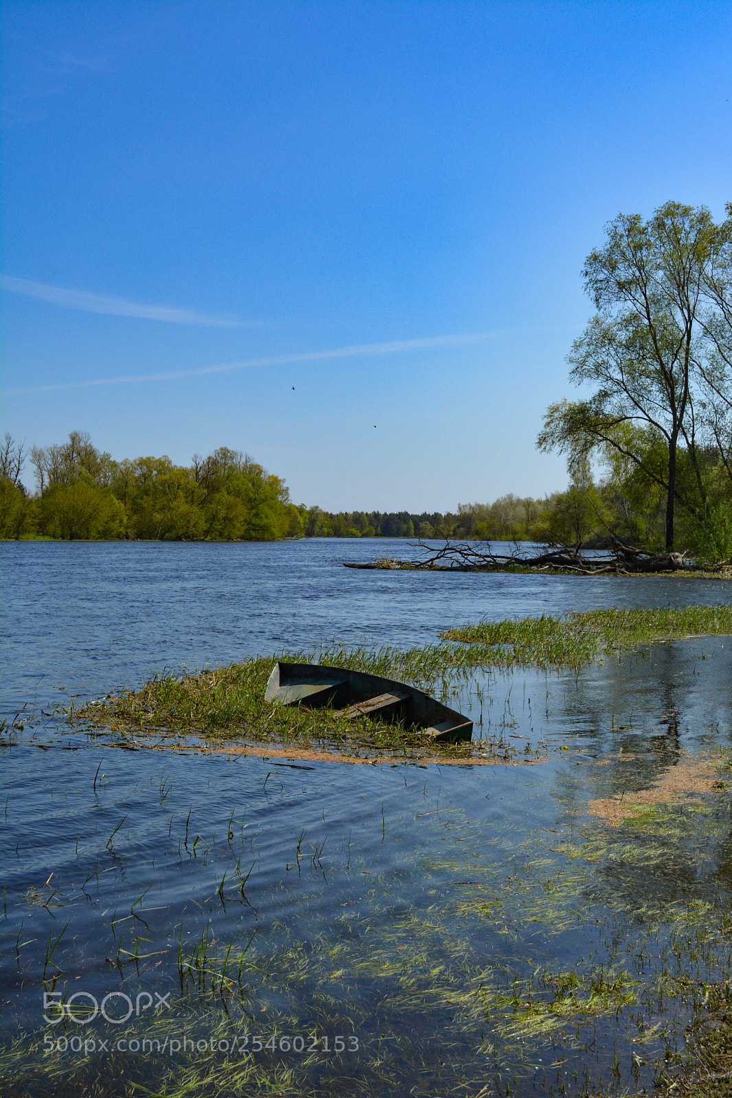 Nikon D5200 sample photo. Spring photography