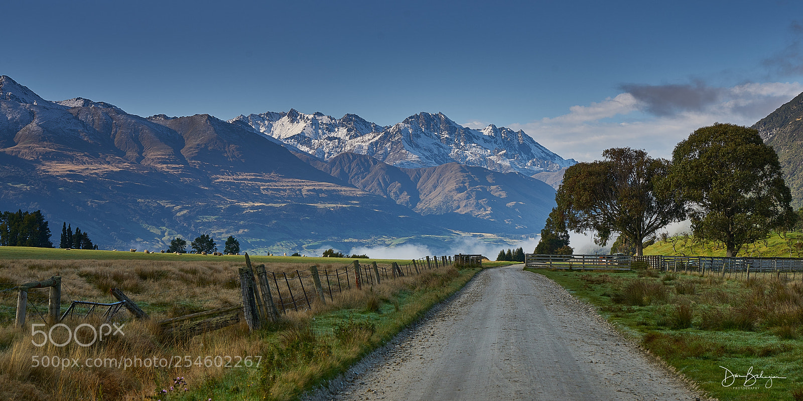 Sony a7R II sample photo. Glenorchy nz photography