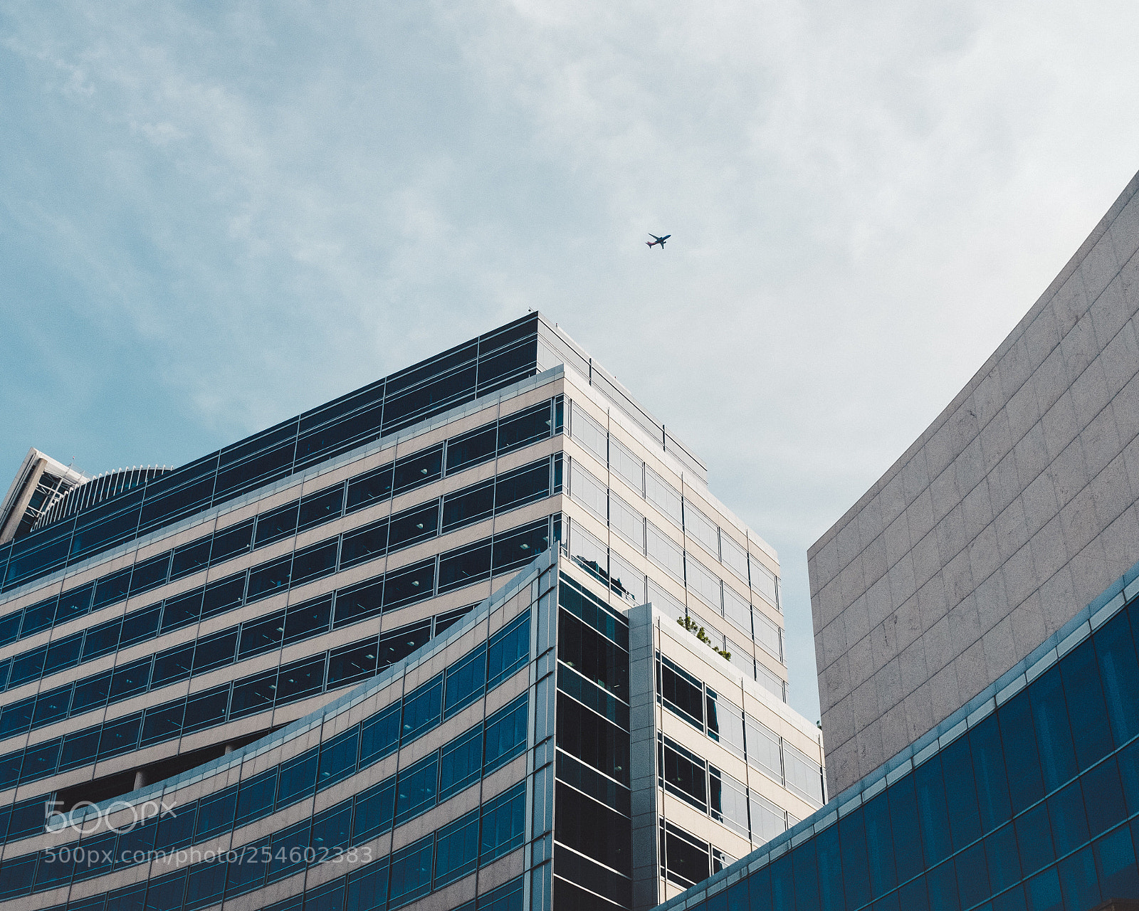 Fujifilm X100F sample photo. Chasing birds photography