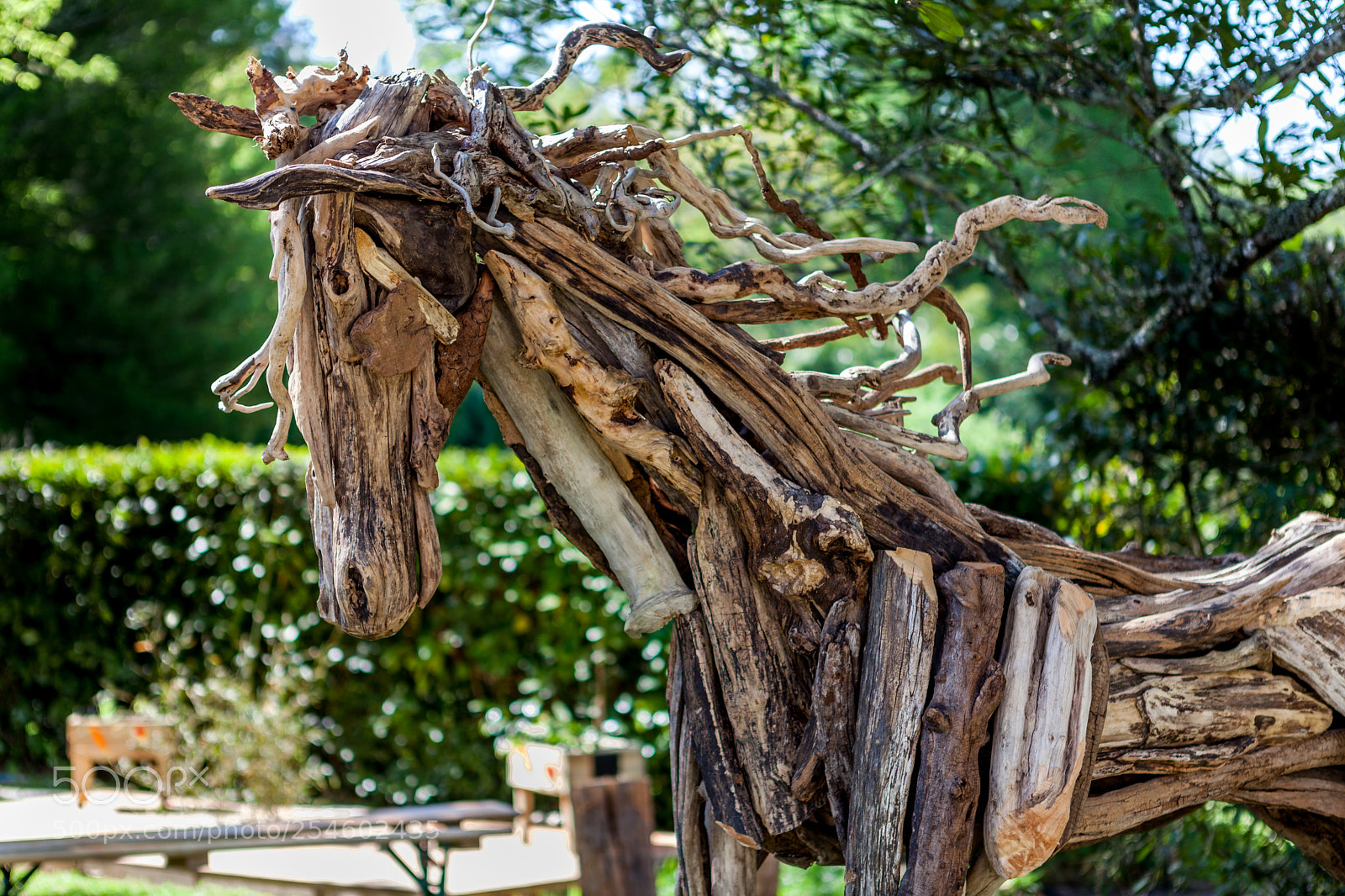 Canon EOS 5D Mark II sample photo. The wooden horse photography