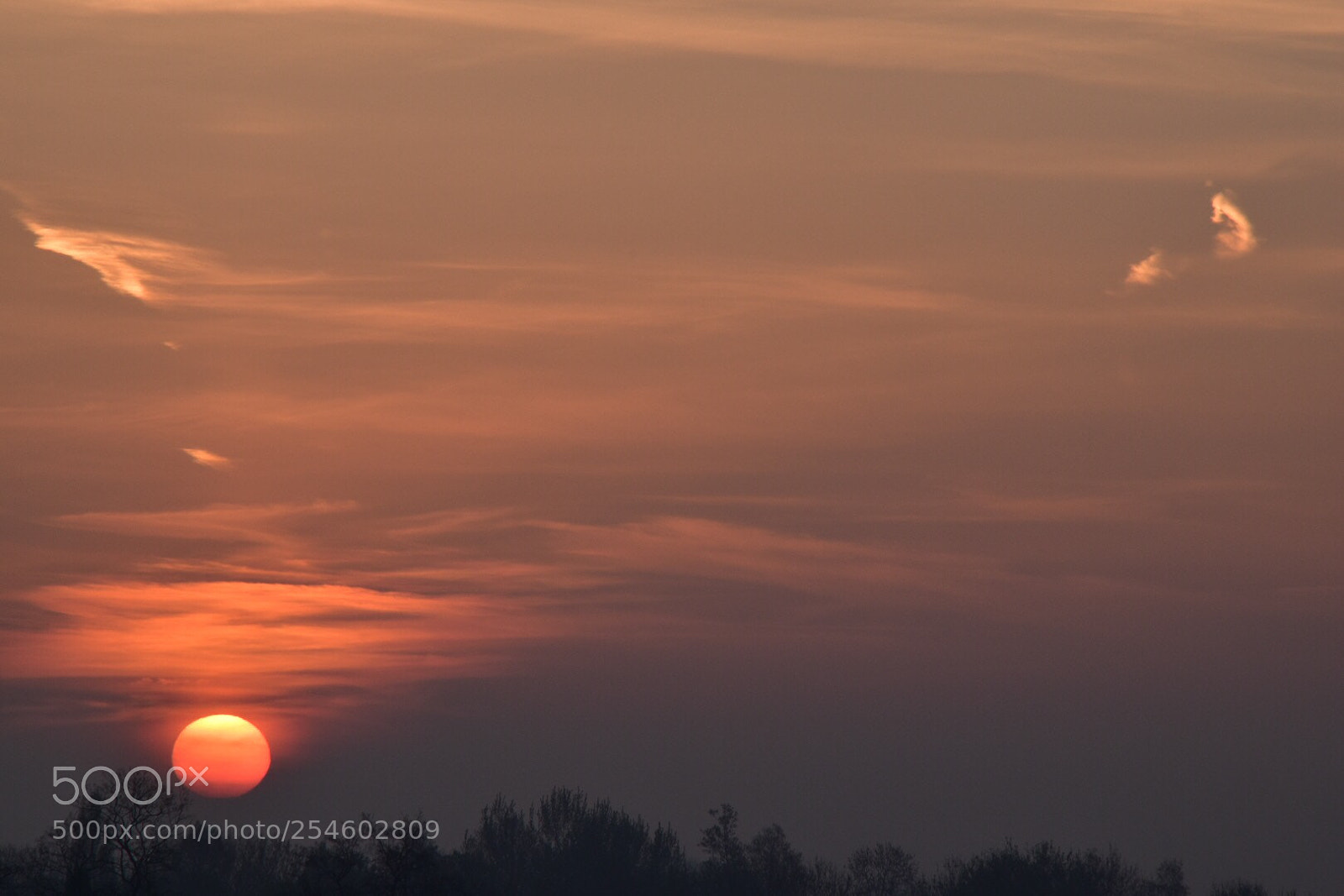 Nikon D5500 sample photo. Untitled photography
