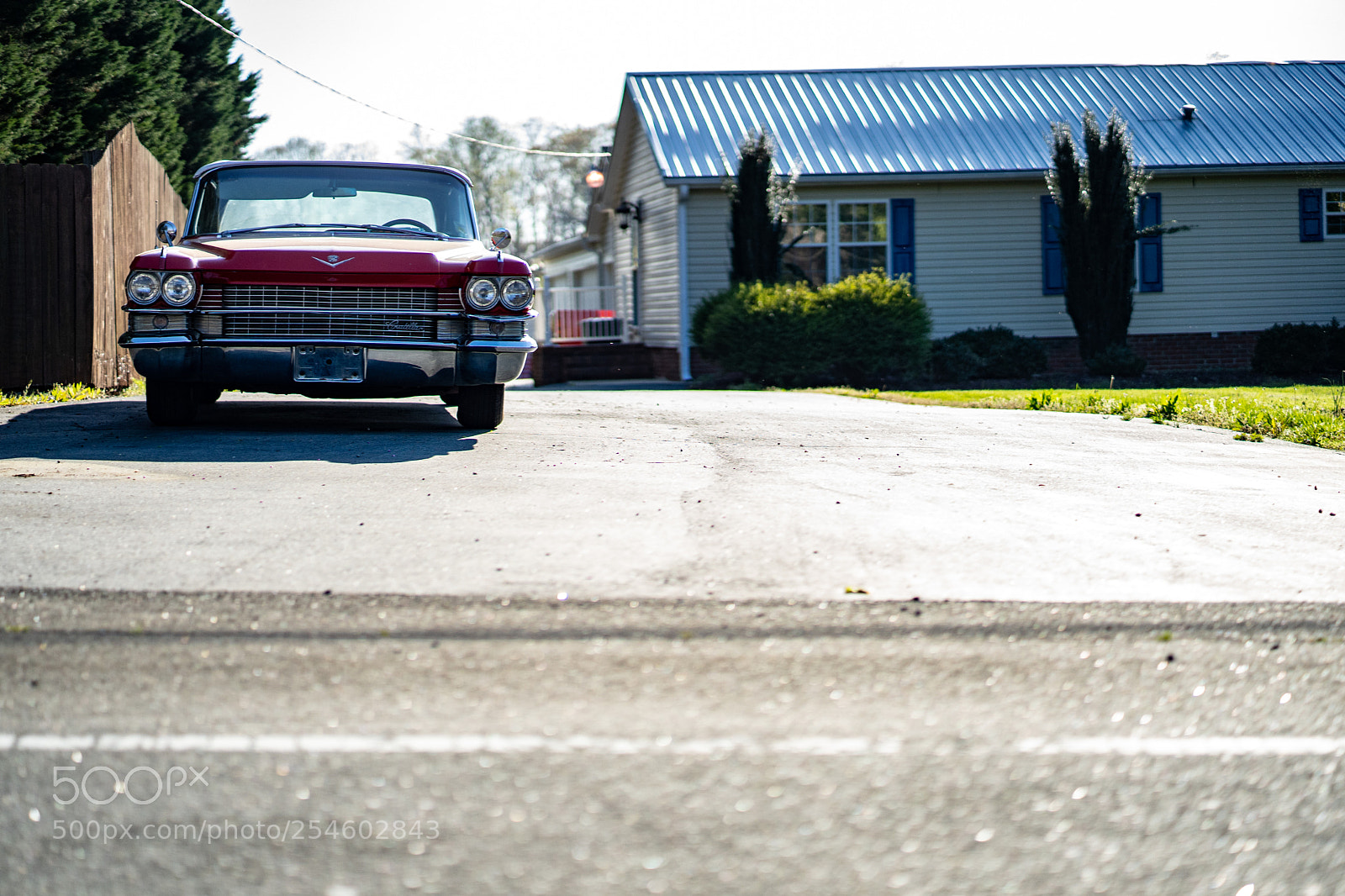 Sony a7 III sample photo. Random photography