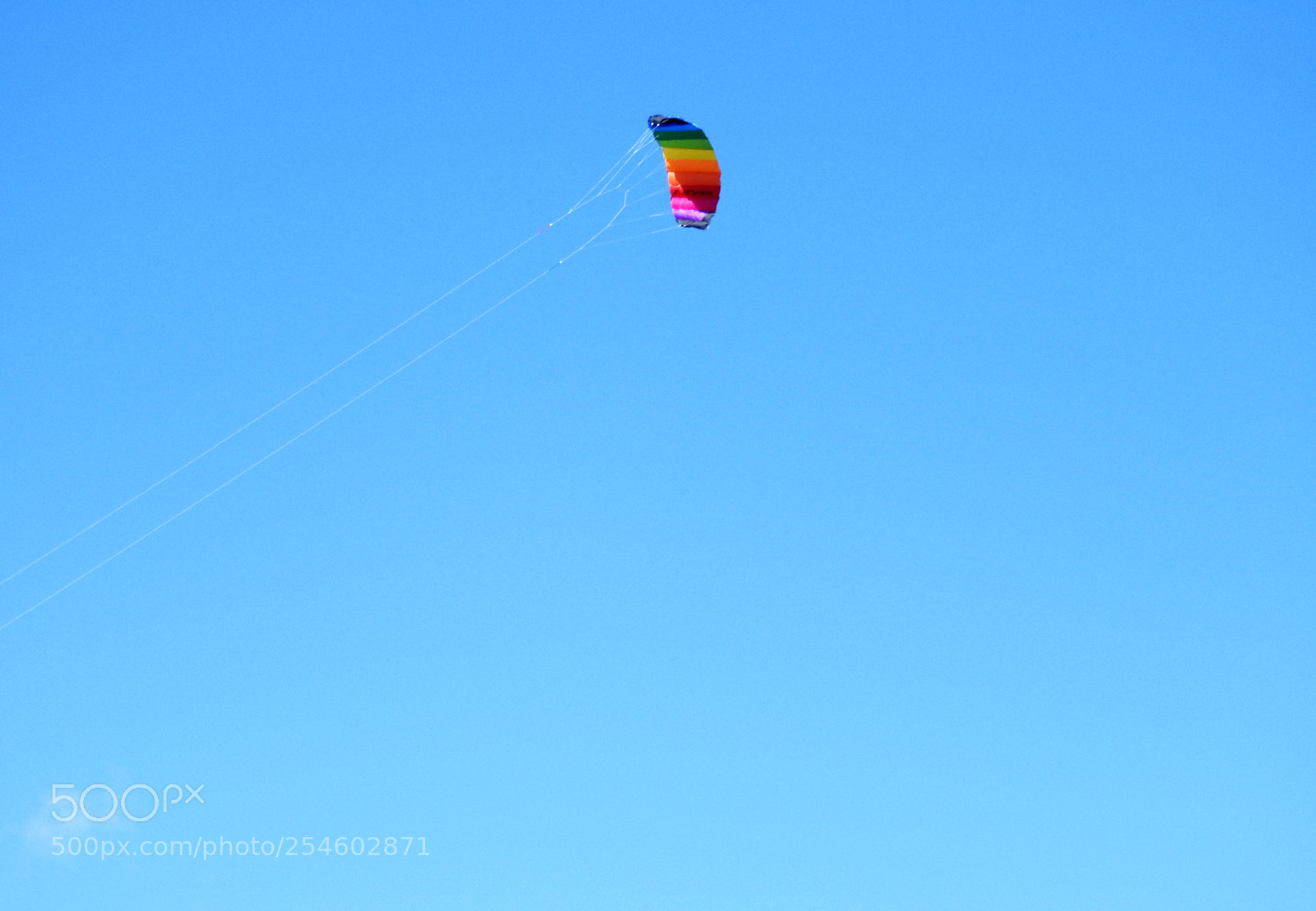 Nikon Coolpix P610 sample photo. Kite photography