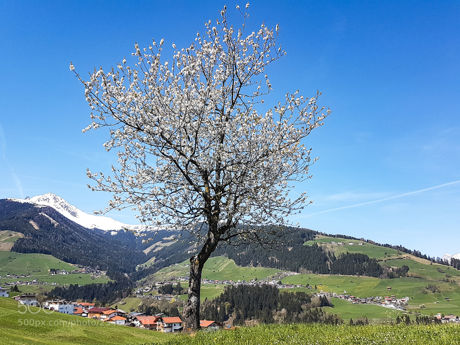 Samsung Galaxy S7 sample photo. Spring in tirol 2 photography