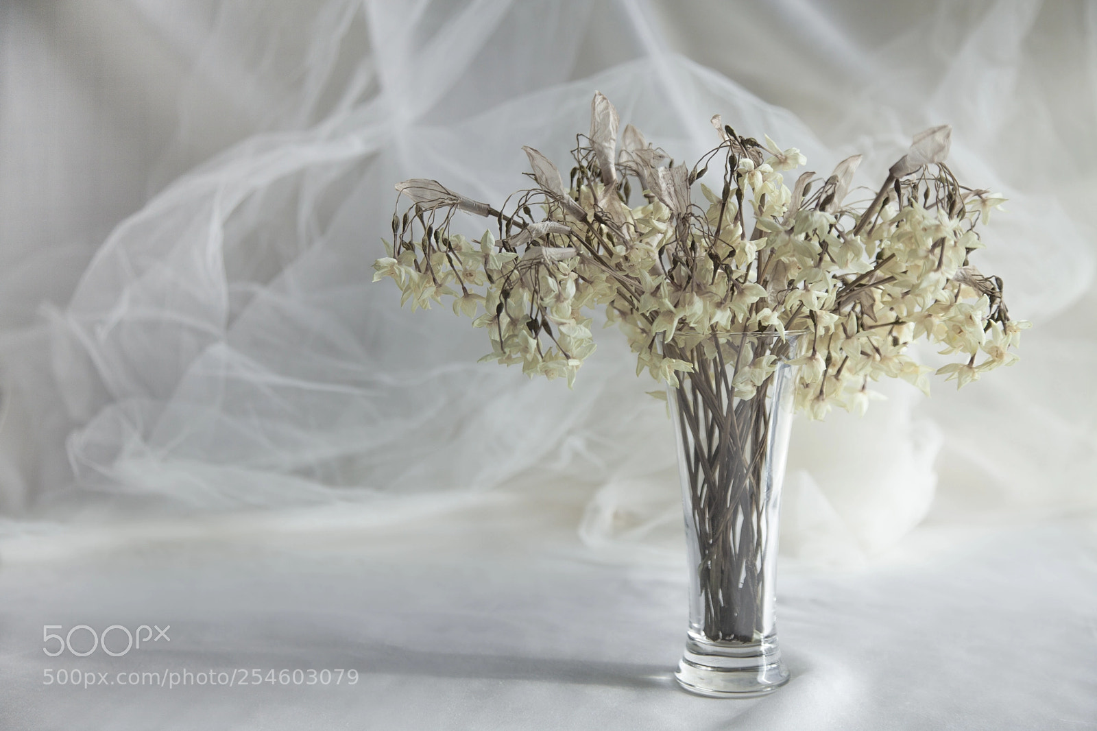 Canon EOS 5D Mark II sample photo. Flowers photography