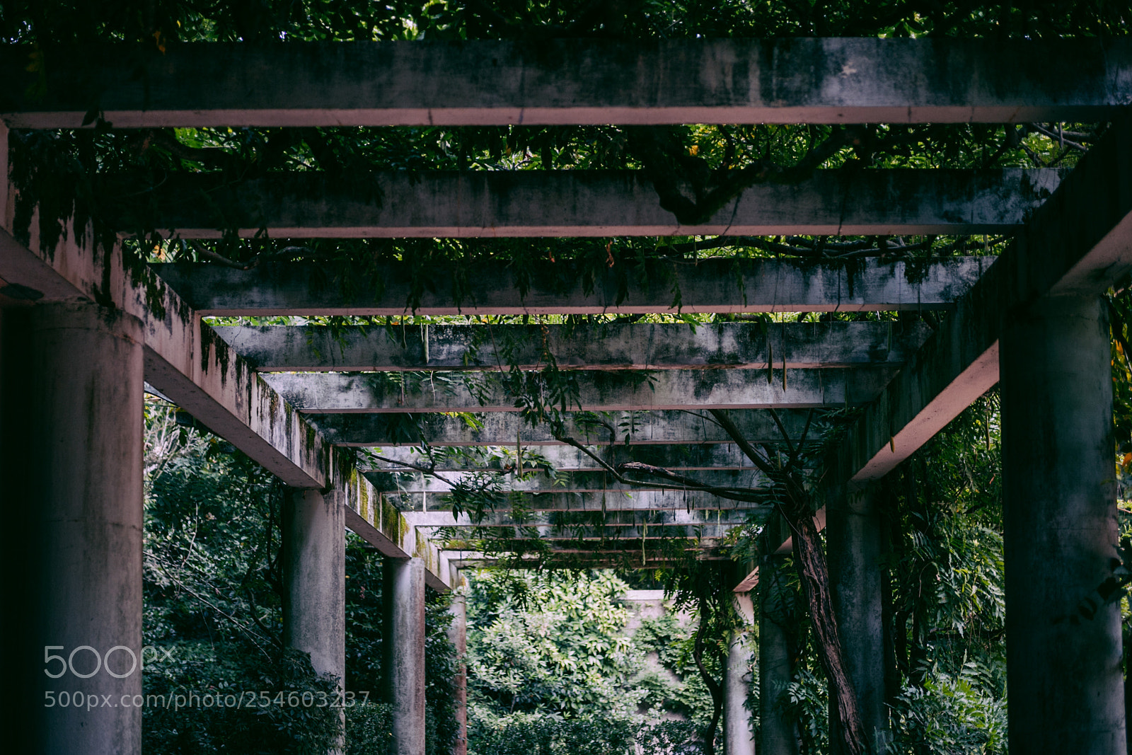 Canon EOS 5D Mark II sample photo. Porto photography