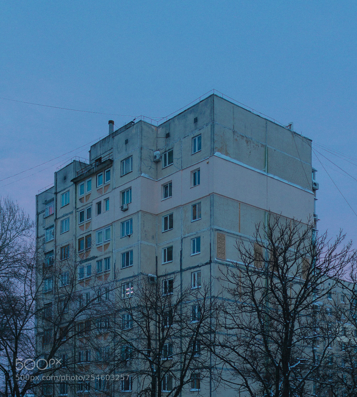 Canon EOS 650D (EOS Rebel T4i / EOS Kiss X6i) sample photo. . photography