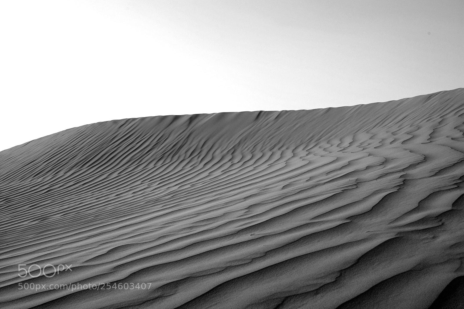 Nikon D7100 sample photo. Desert in sharjah photography