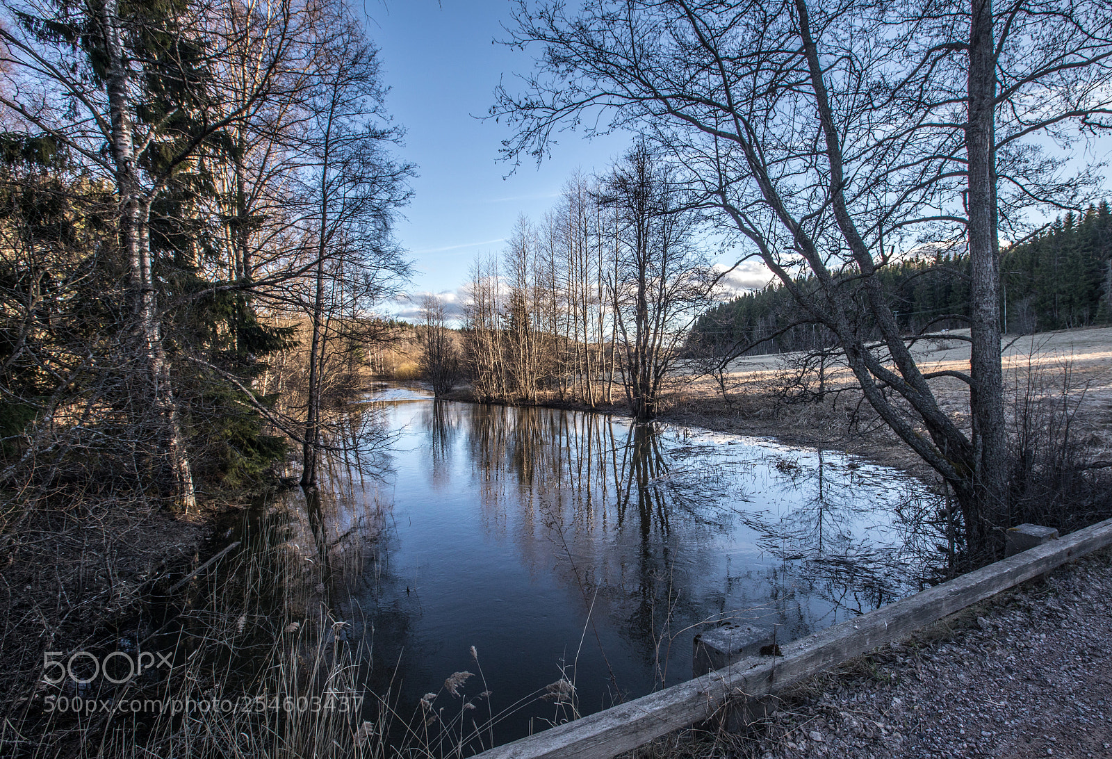 Canon EOS 5D Mark IV sample photo. Finnish forest iii photography