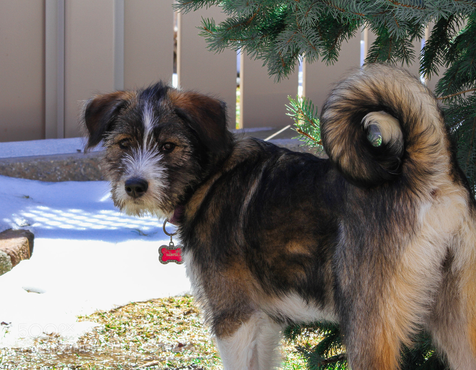 Canon EOS 7D sample photo. Dakota photography