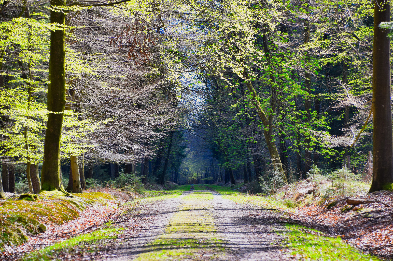 Nikon D3300 sample photo. Die ersten warmen sonnenstrahlen photography