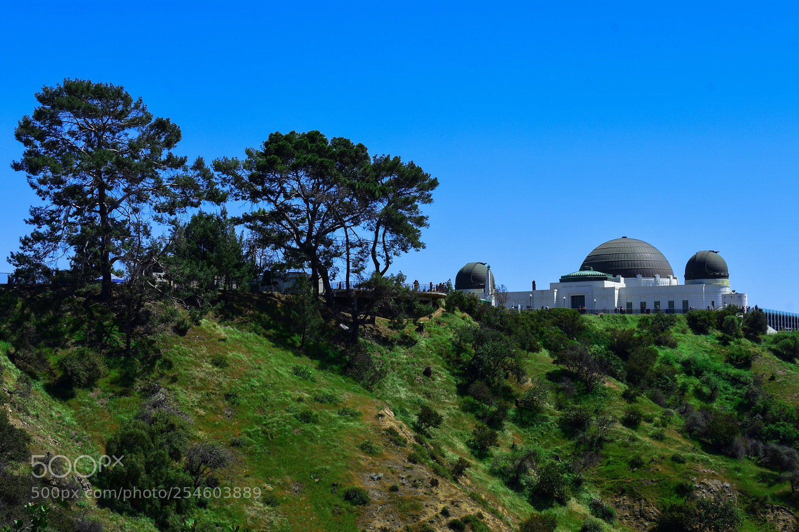 Nikon D3400 sample photo. The observatory, los angeles photography