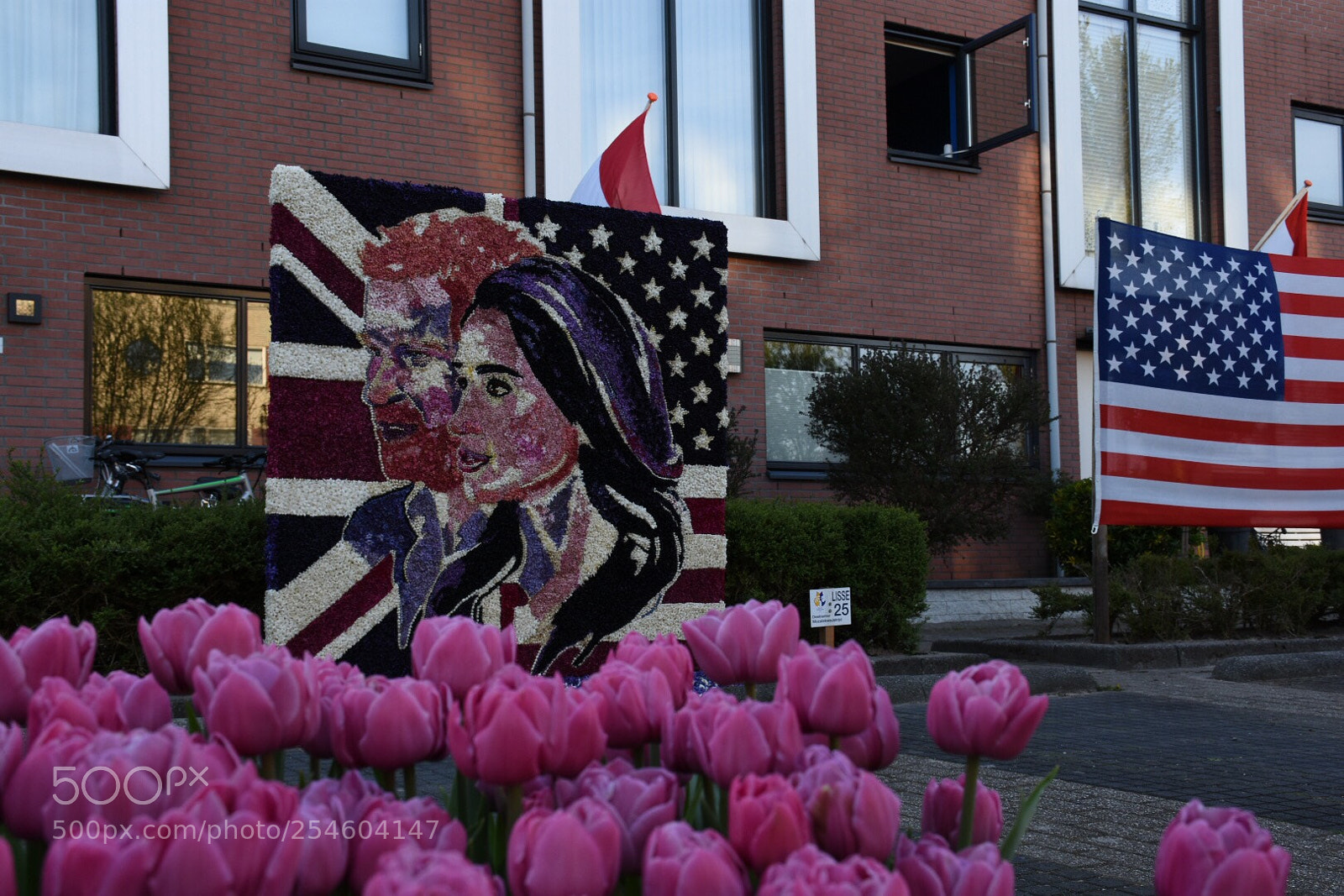 Nikon D7200 sample photo. Mozaiek photography