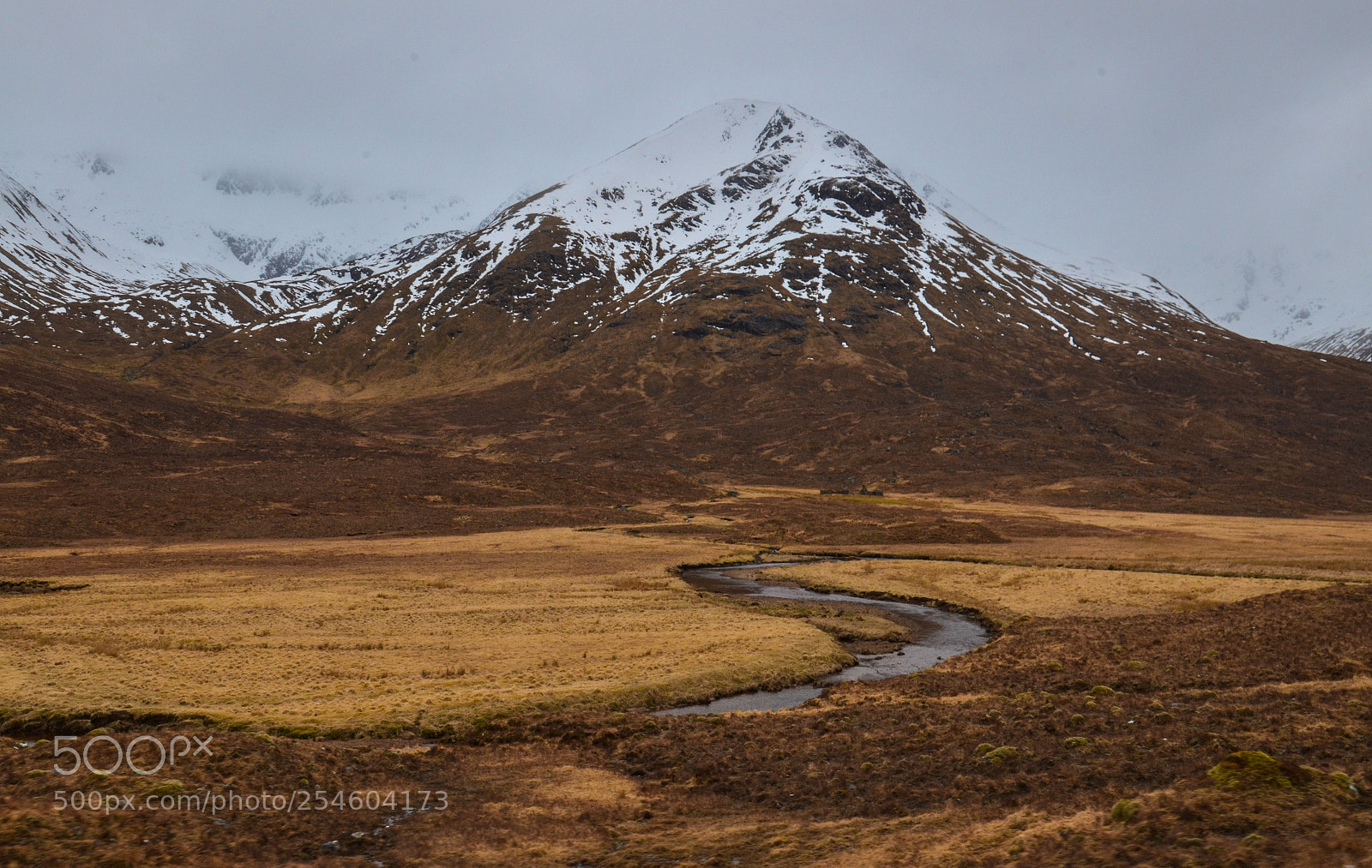 Nikon D5100 sample photo. Highlands in spring photography
