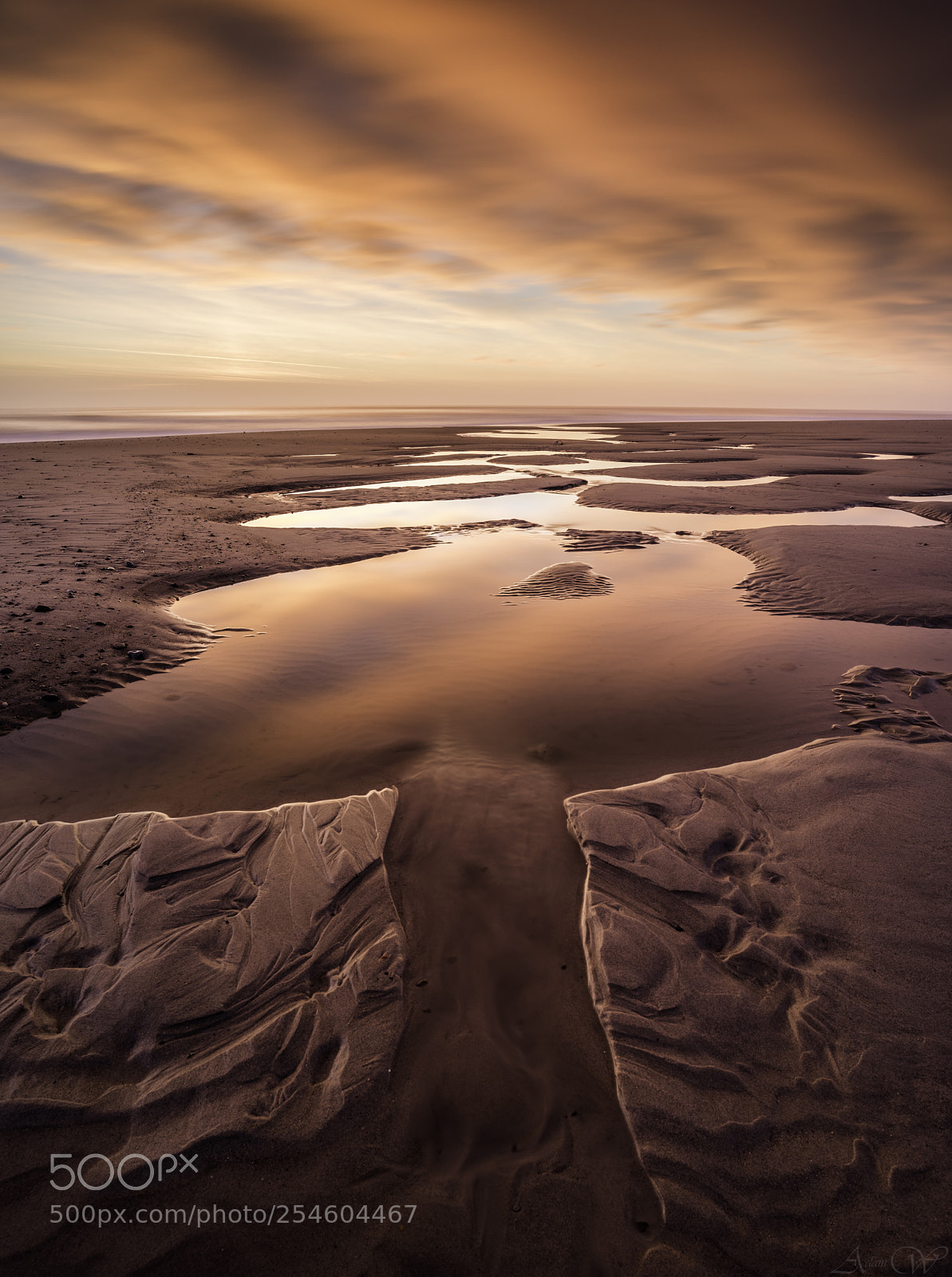 Nikon D810 sample photo. Whitley bay beach photography