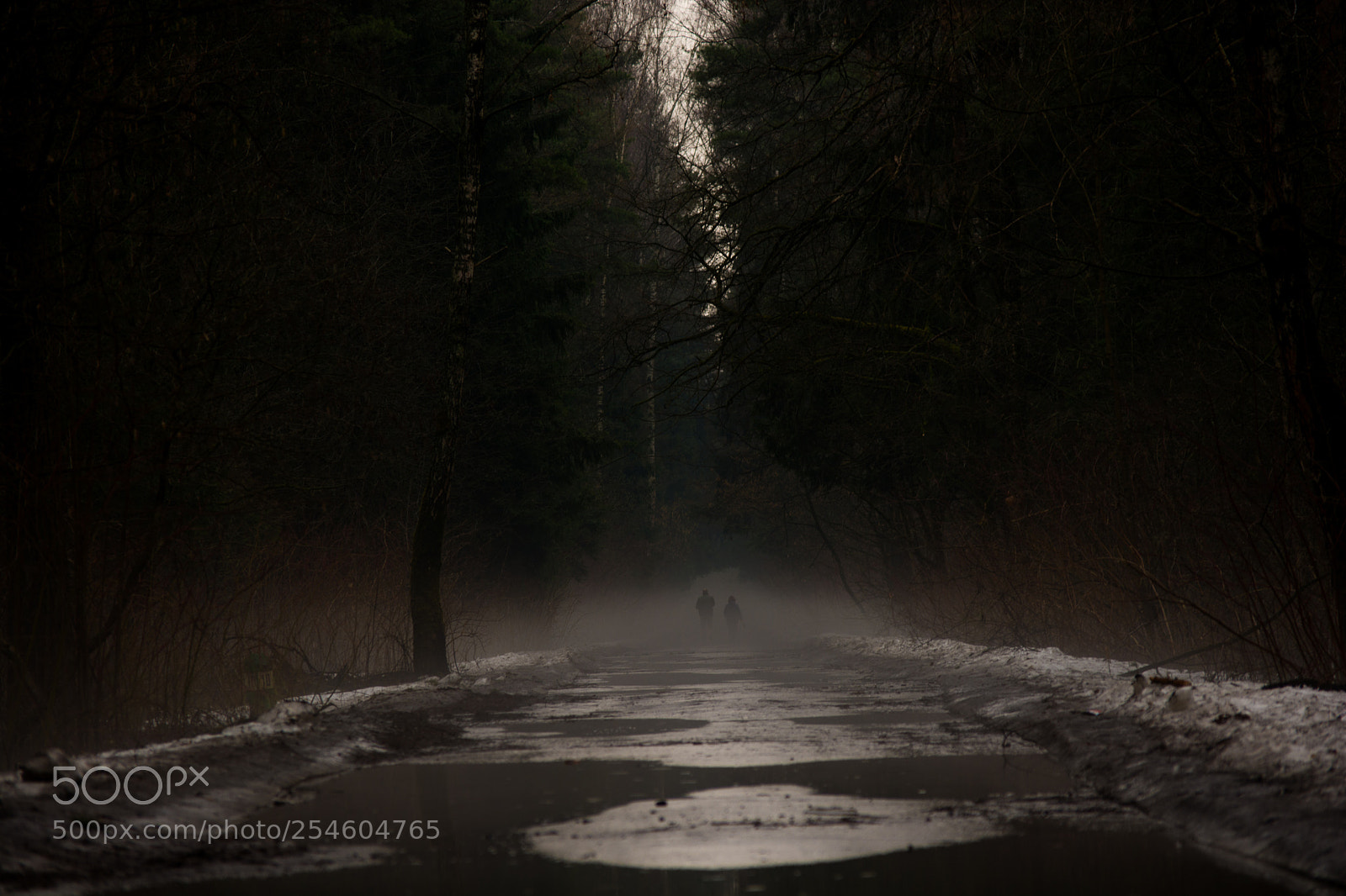 Nikon D7100 sample photo. 2975.jpg photography
