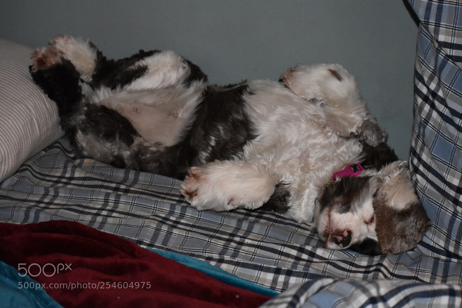 Nikon D3400 sample photo. Comfort comes in many photography