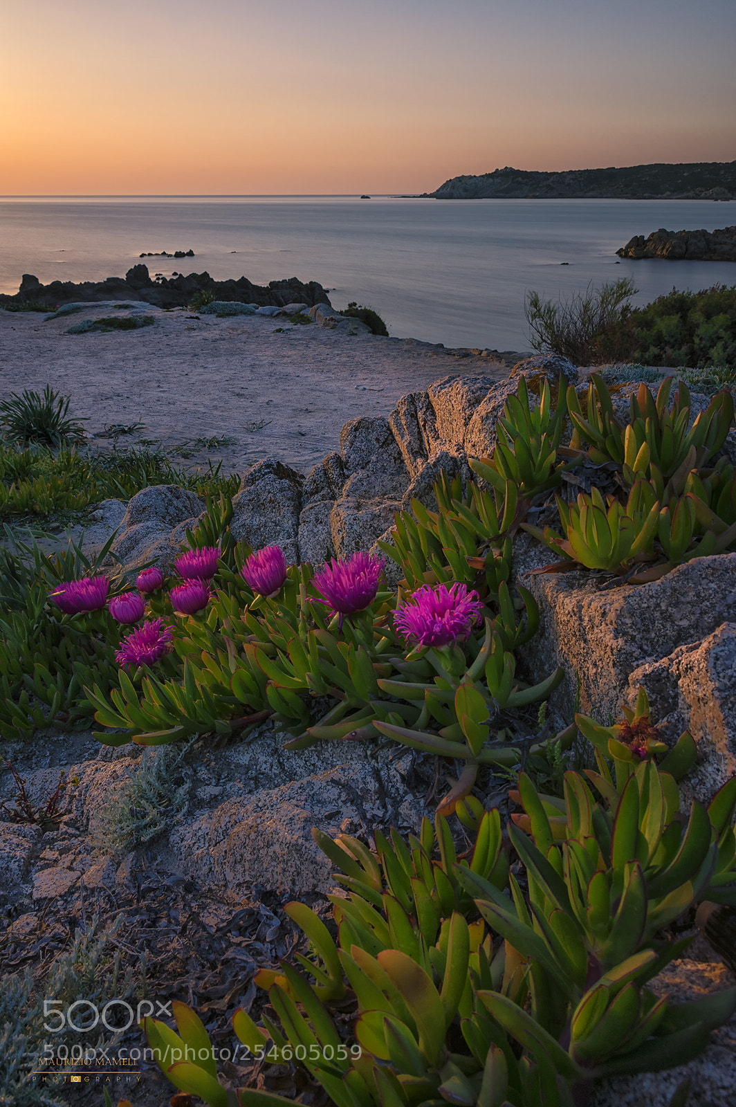 Pentax K-3 sample photo. Sardinia photography