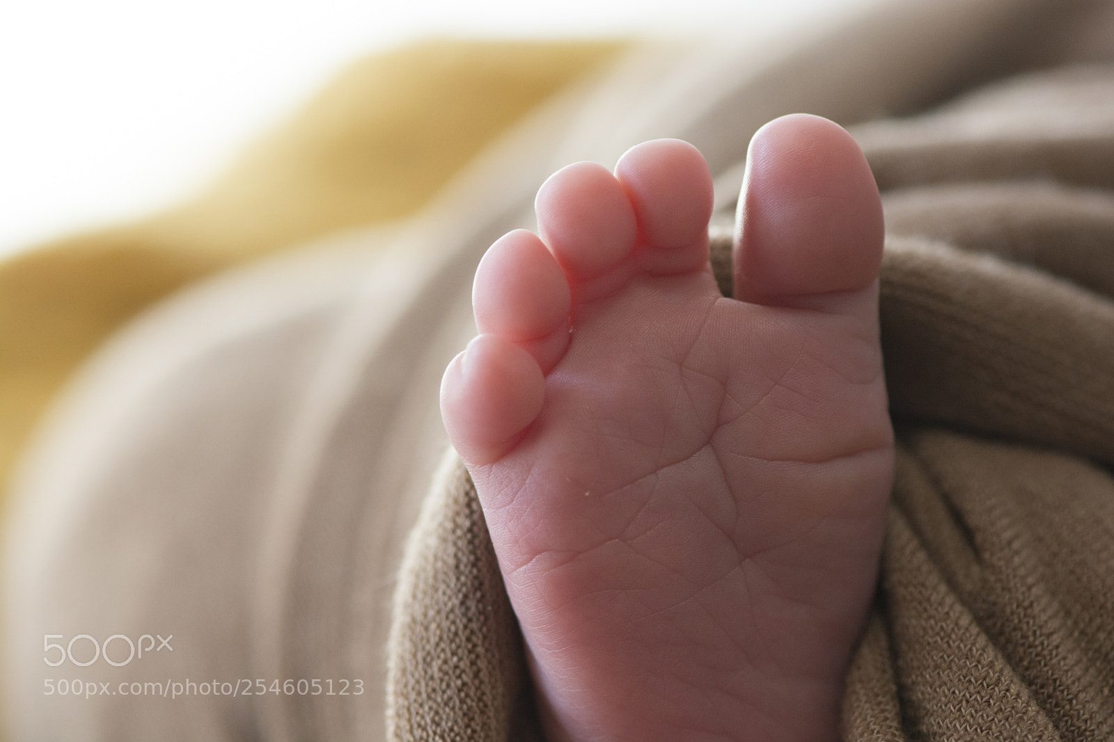 Nikon D7100 sample photo. Baby foot closeup photography