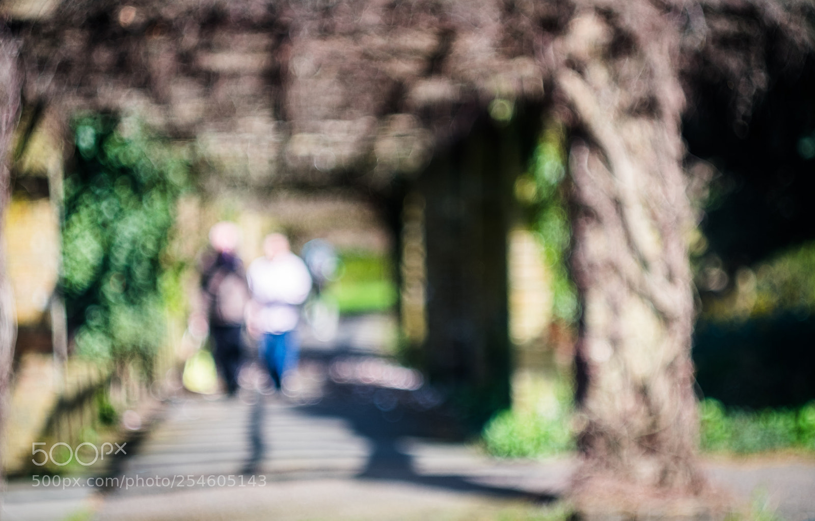 Fujifilm X-Pro2 sample photo. Passage photography
