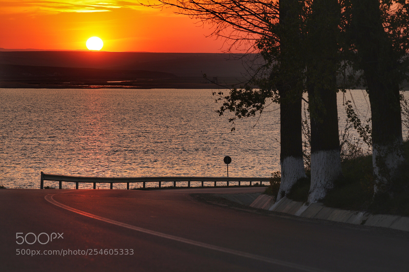 Canon EOS 5D Mark IV sample photo. Untitled photography