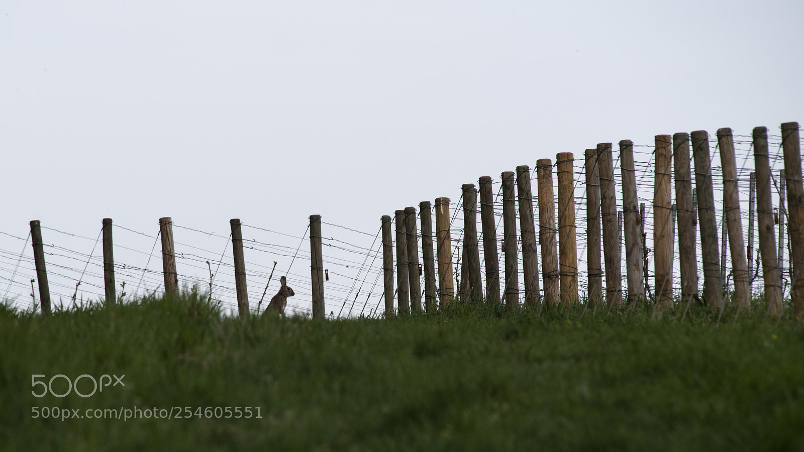 Pentax K-1 sample photo. Guardian photography