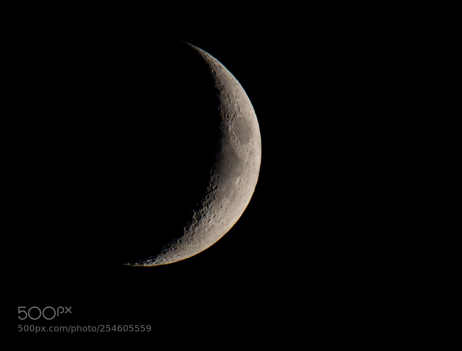 Nikon D7100 sample photo. 6519.jpg photography