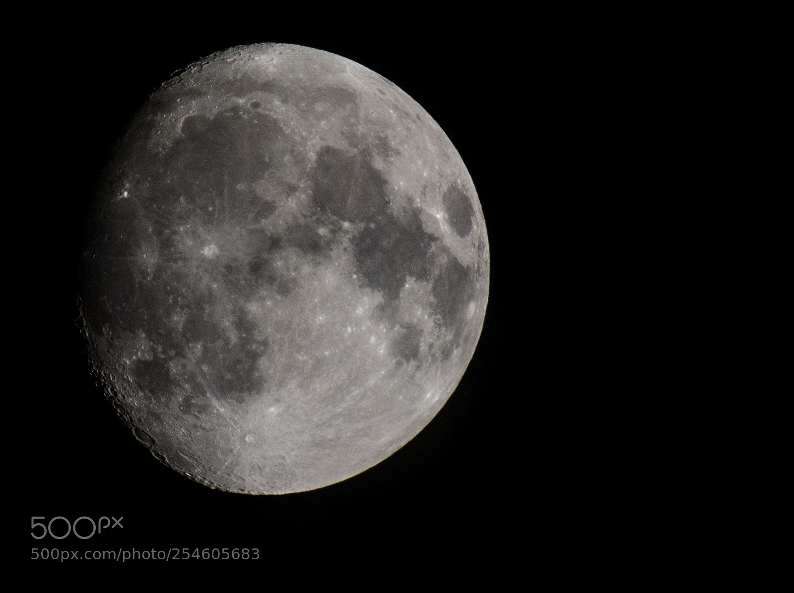 Nikon D7100 sample photo. 6675.jpg photography