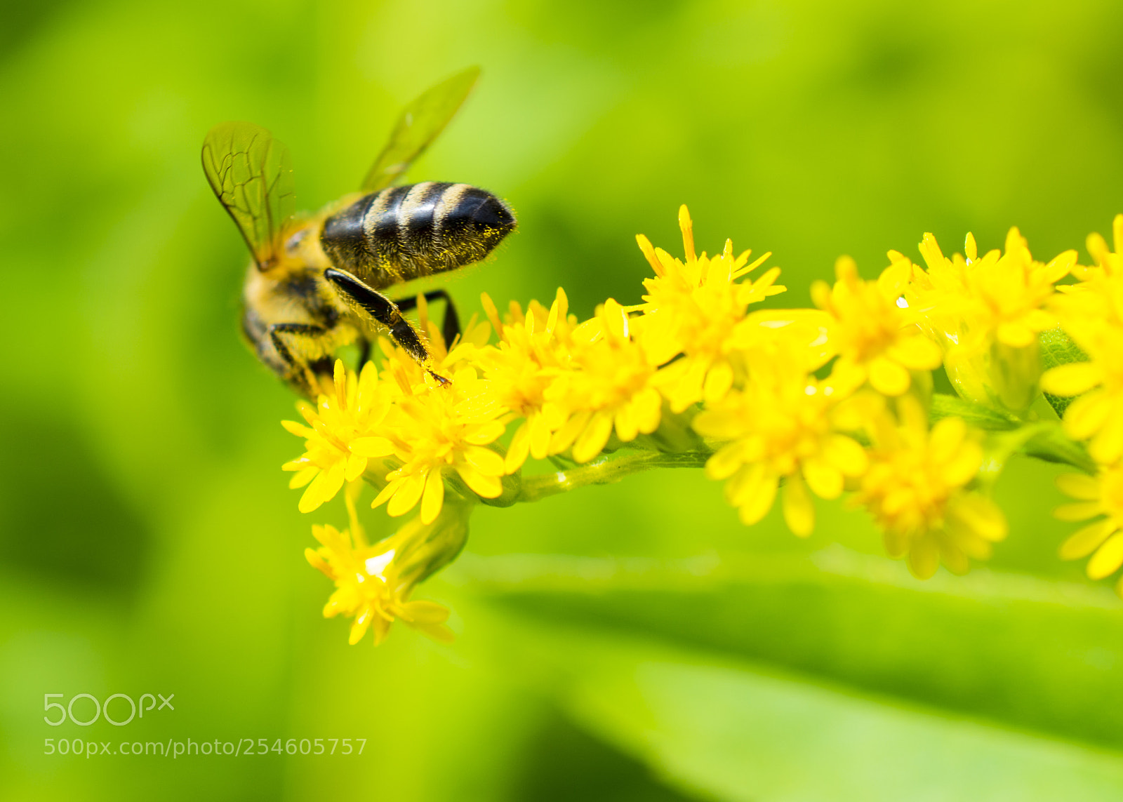 Nikon D7100 sample photo. 2316.jpg photography