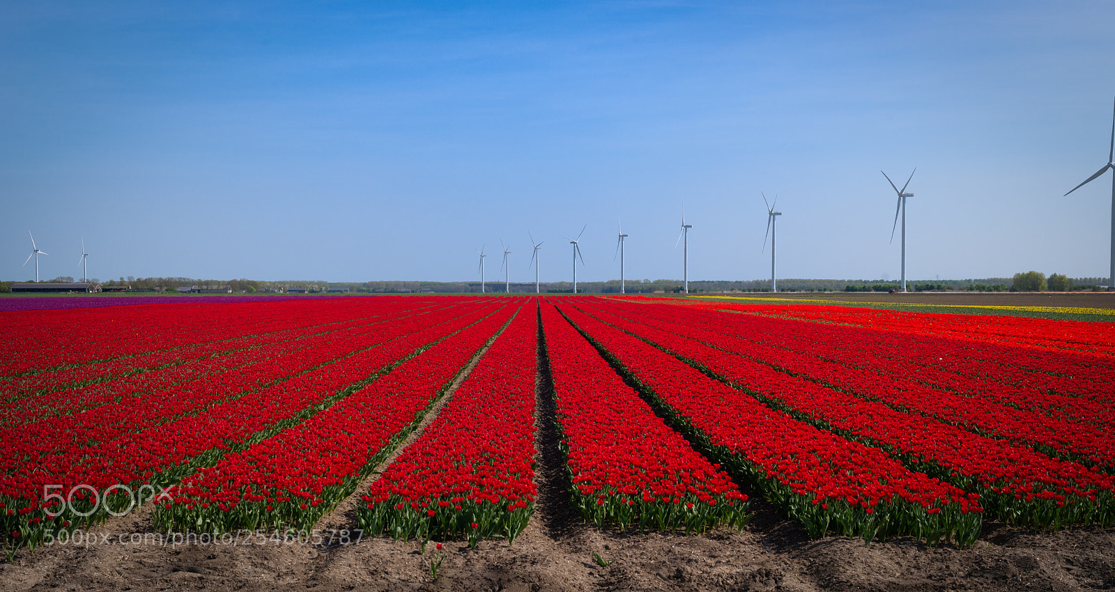 Nikon D610 sample photo. Hundreds of thousands of photography