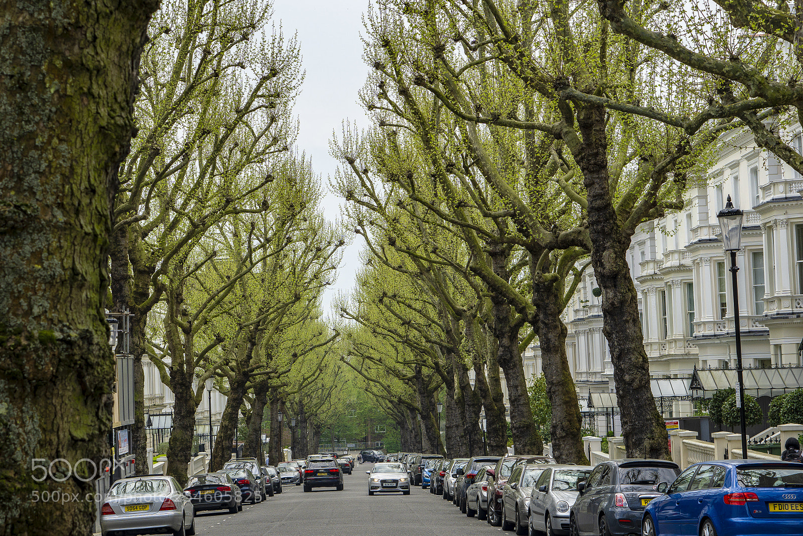 Sony a6000 sample photo. Road with trees on photography