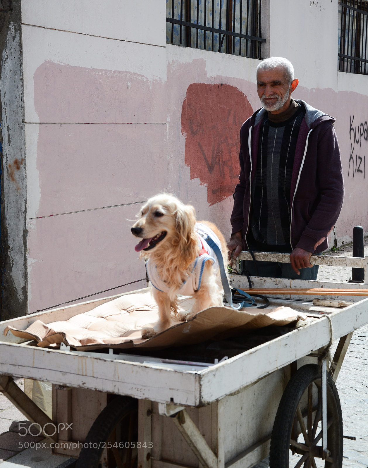 Nikon D7100 sample photo. Balat sokakları... photography