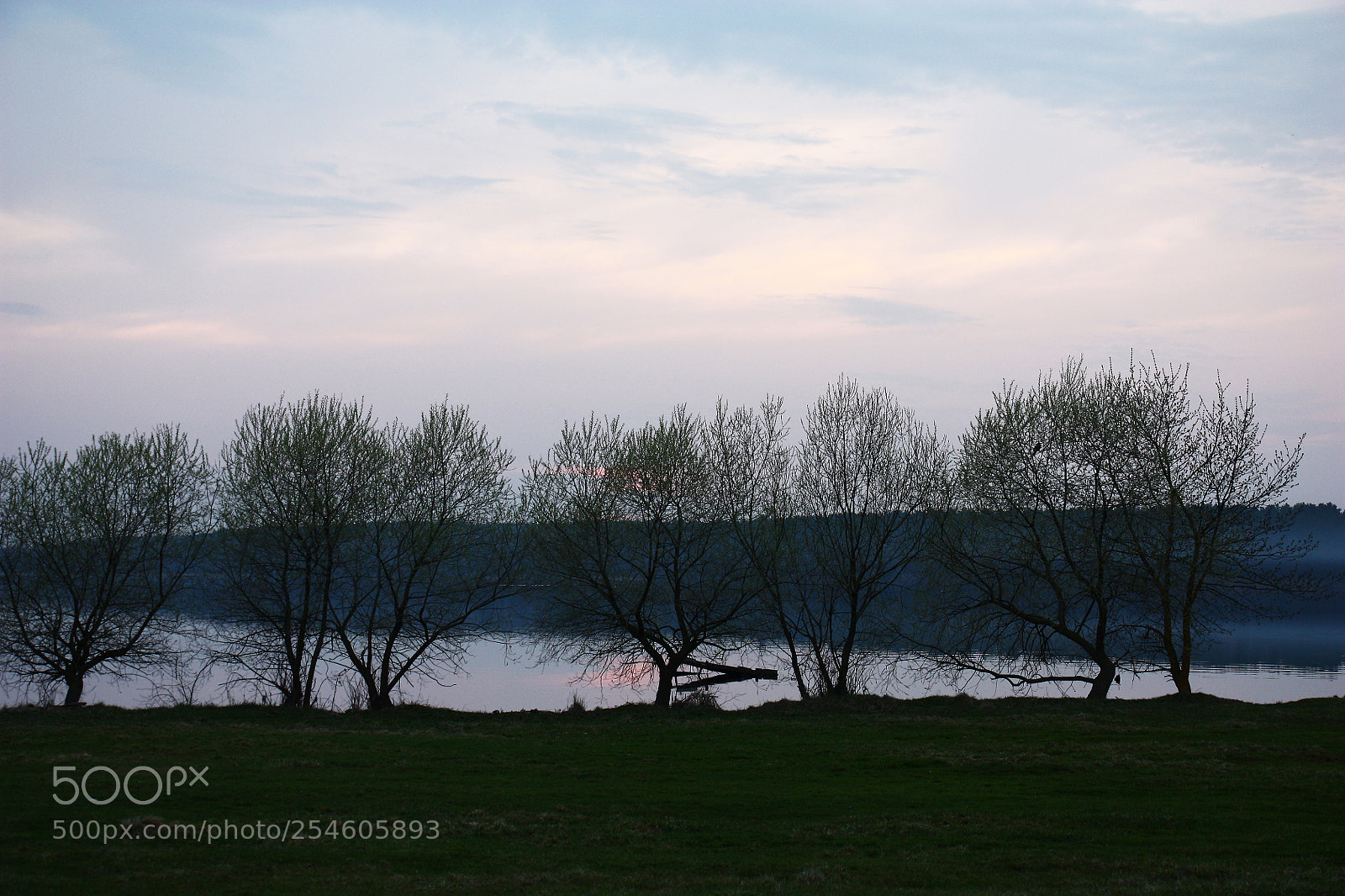 Canon EOS 450D (EOS Rebel XSi / EOS Kiss X2) sample photo. Spring evening on the photography