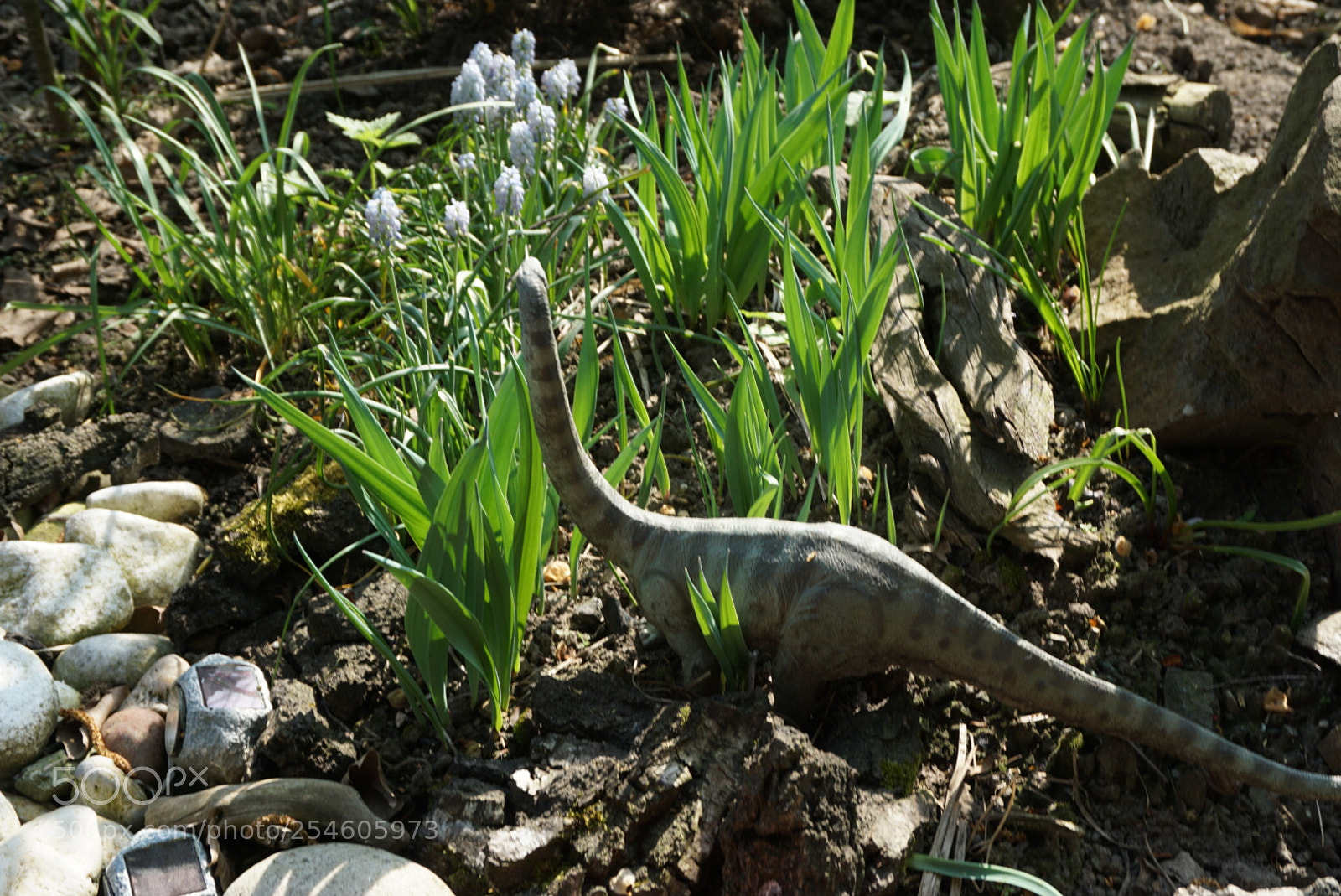 Sony a6000 sample photo. Dino photography
