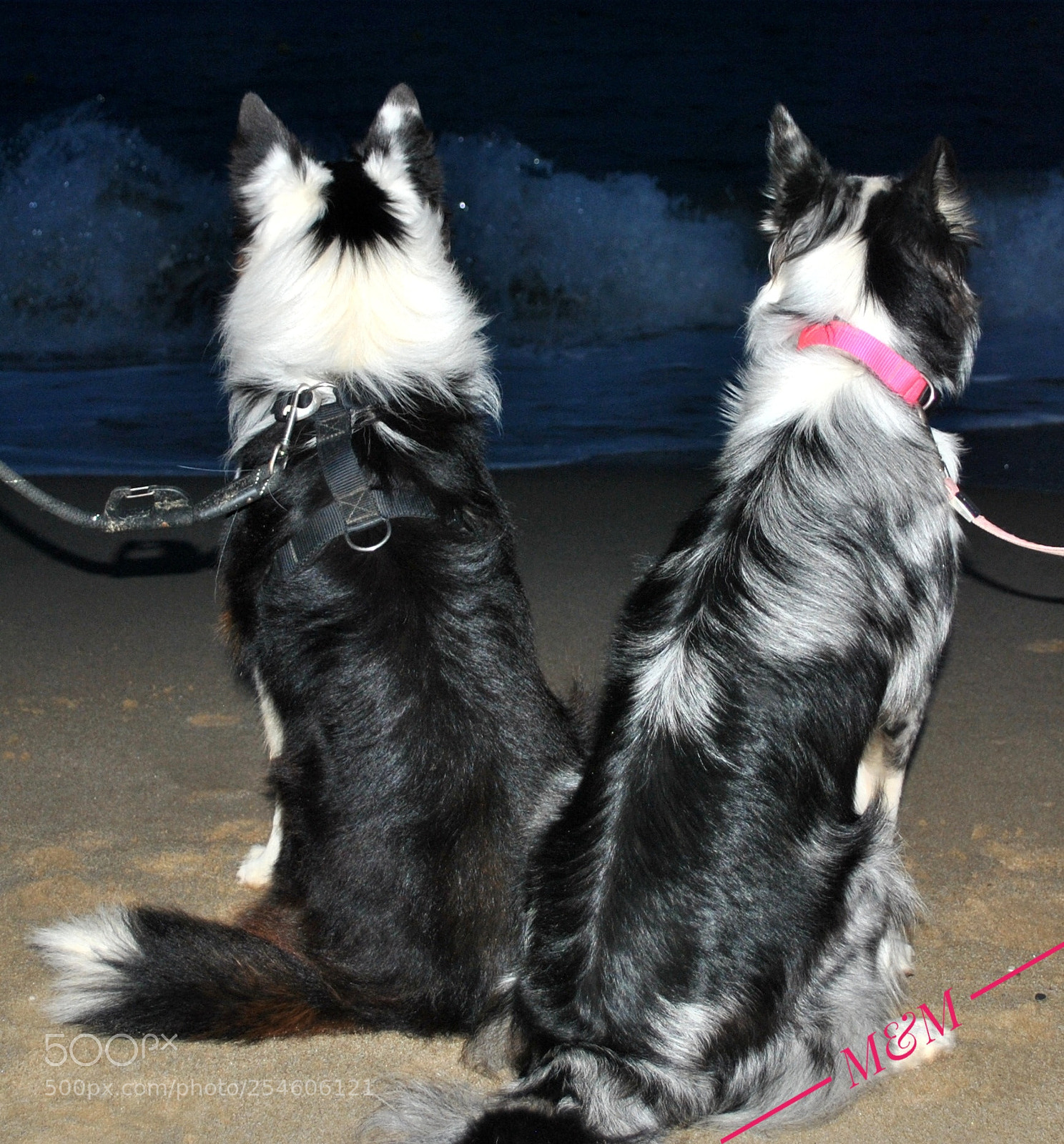 Nikon D3000 sample photo. Mirando al mar... photography