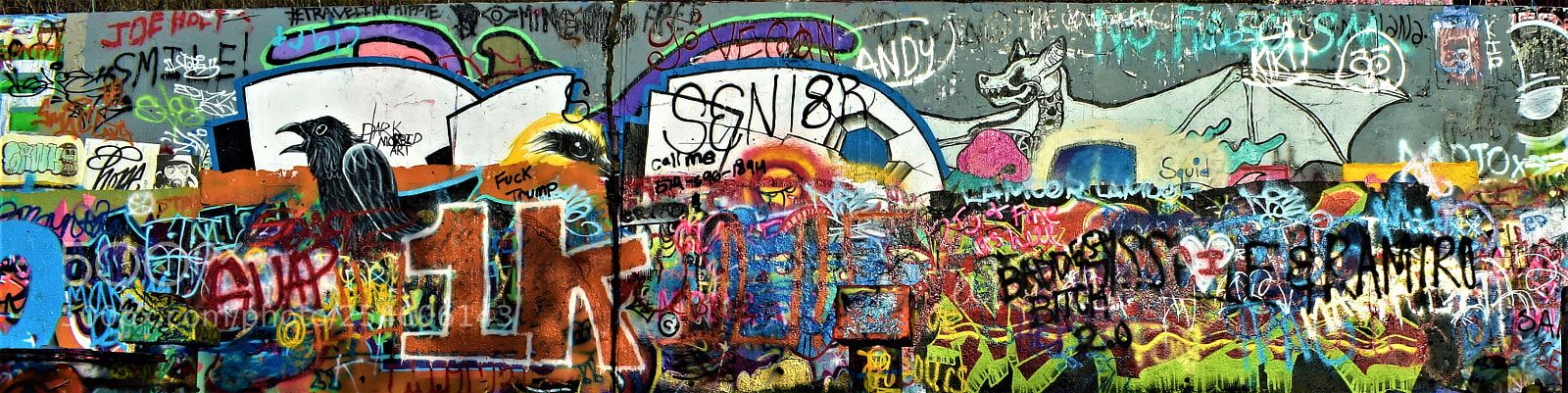 Nikon D3400 sample photo. Street art austin photography
